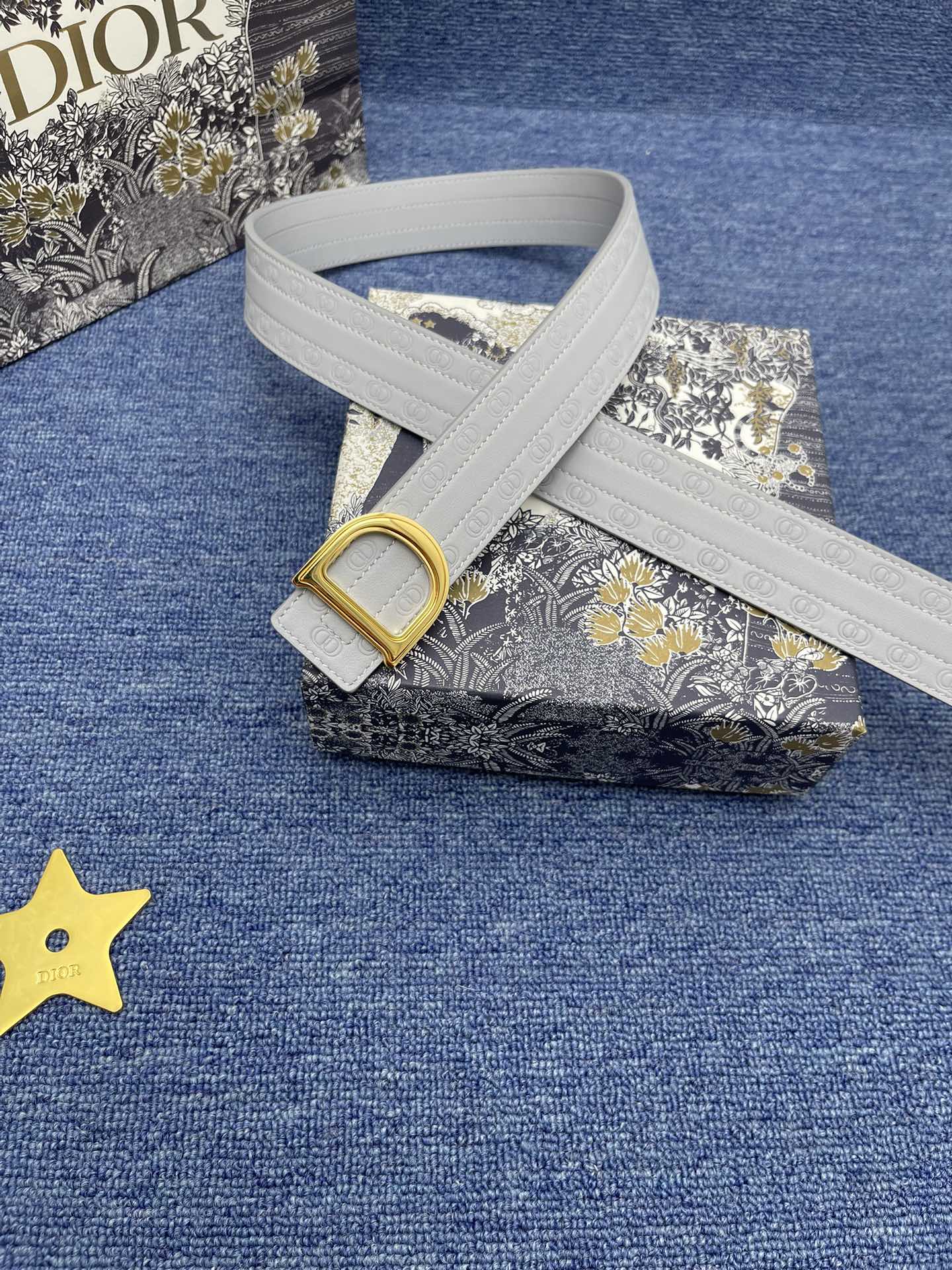 Dior Male Basic Belt Cow Leather Black Adjustable S-m