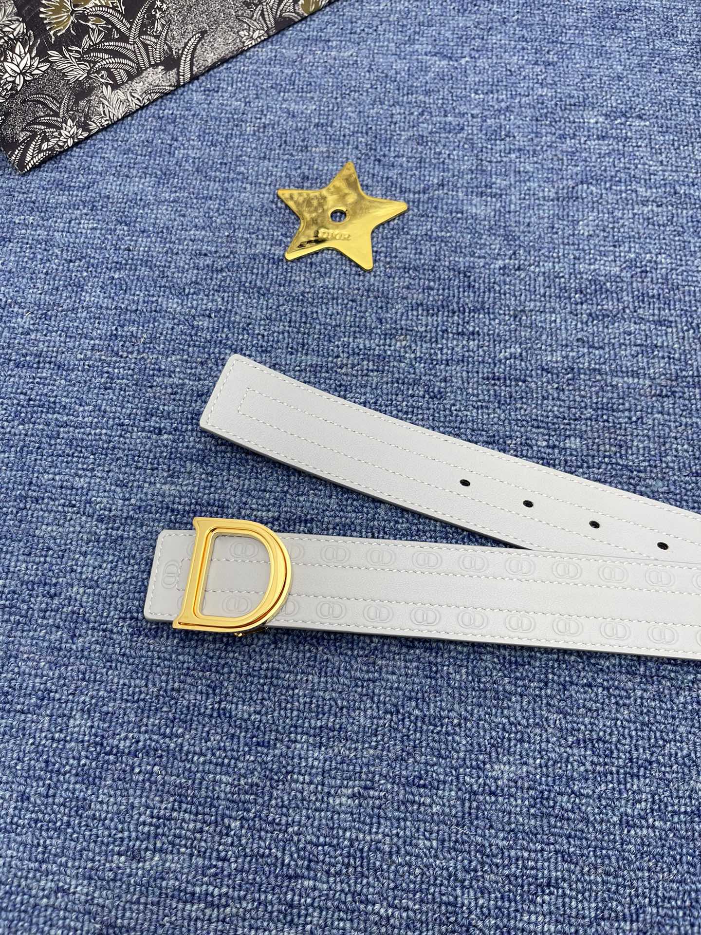 Dior Male Basic Belt Cow Leather Black Adjustable S-m