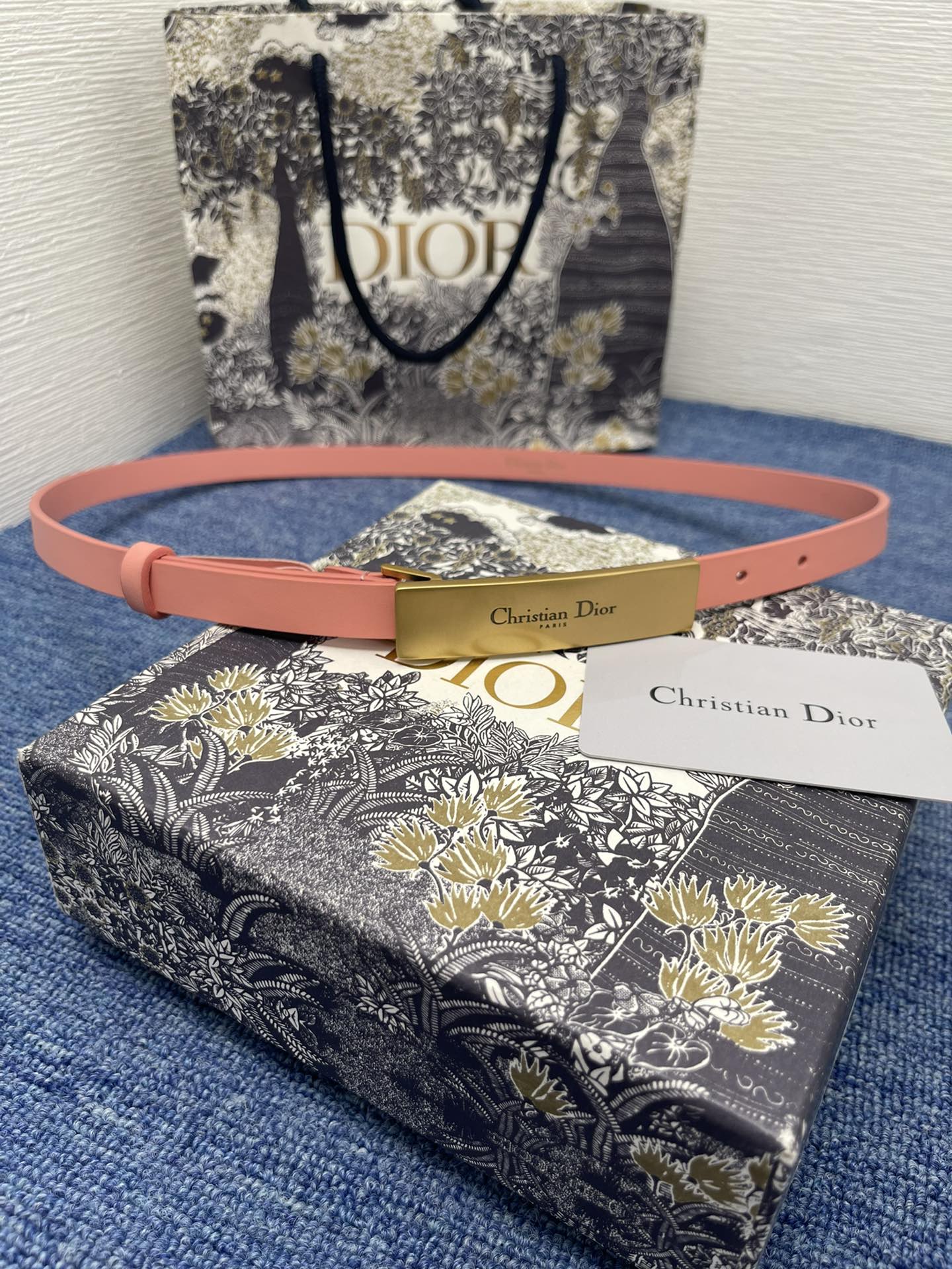 Dior Female Basic Belt Cow Leather Black S