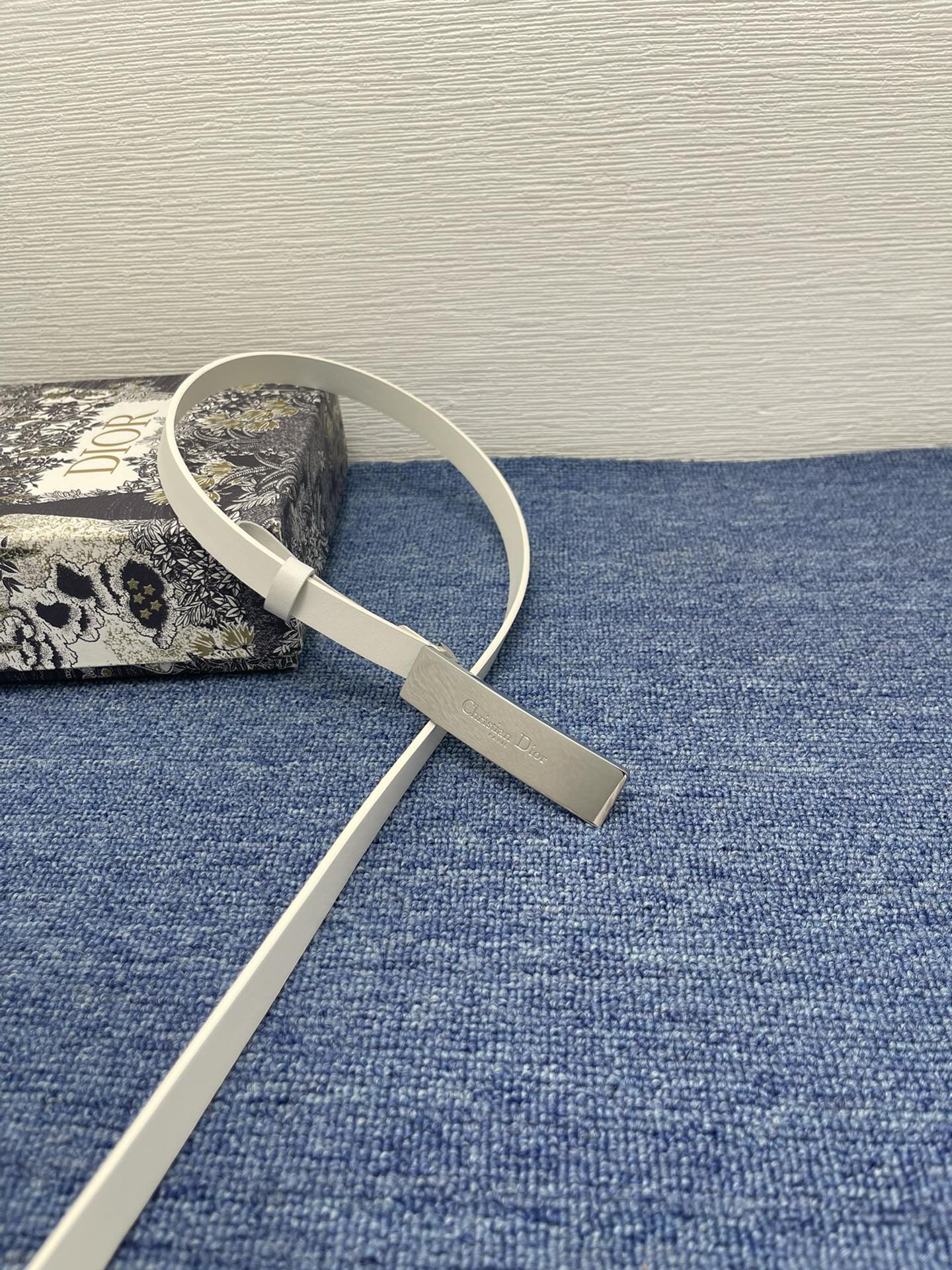 Dior Female Basic Belt Cow Leather Black S