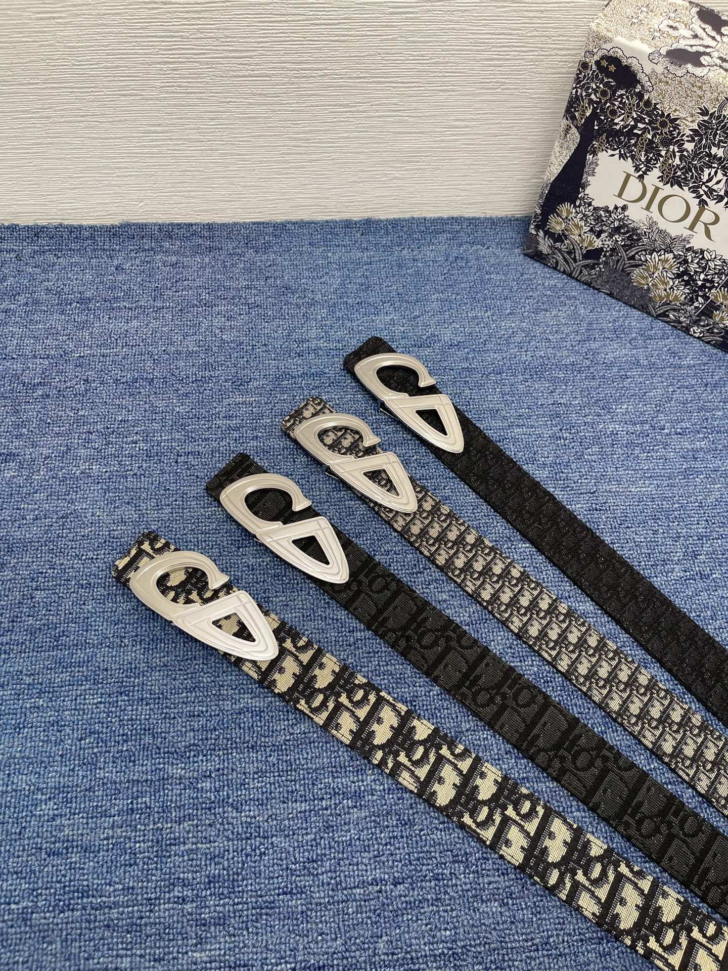 Dior Male Basic Belt Black