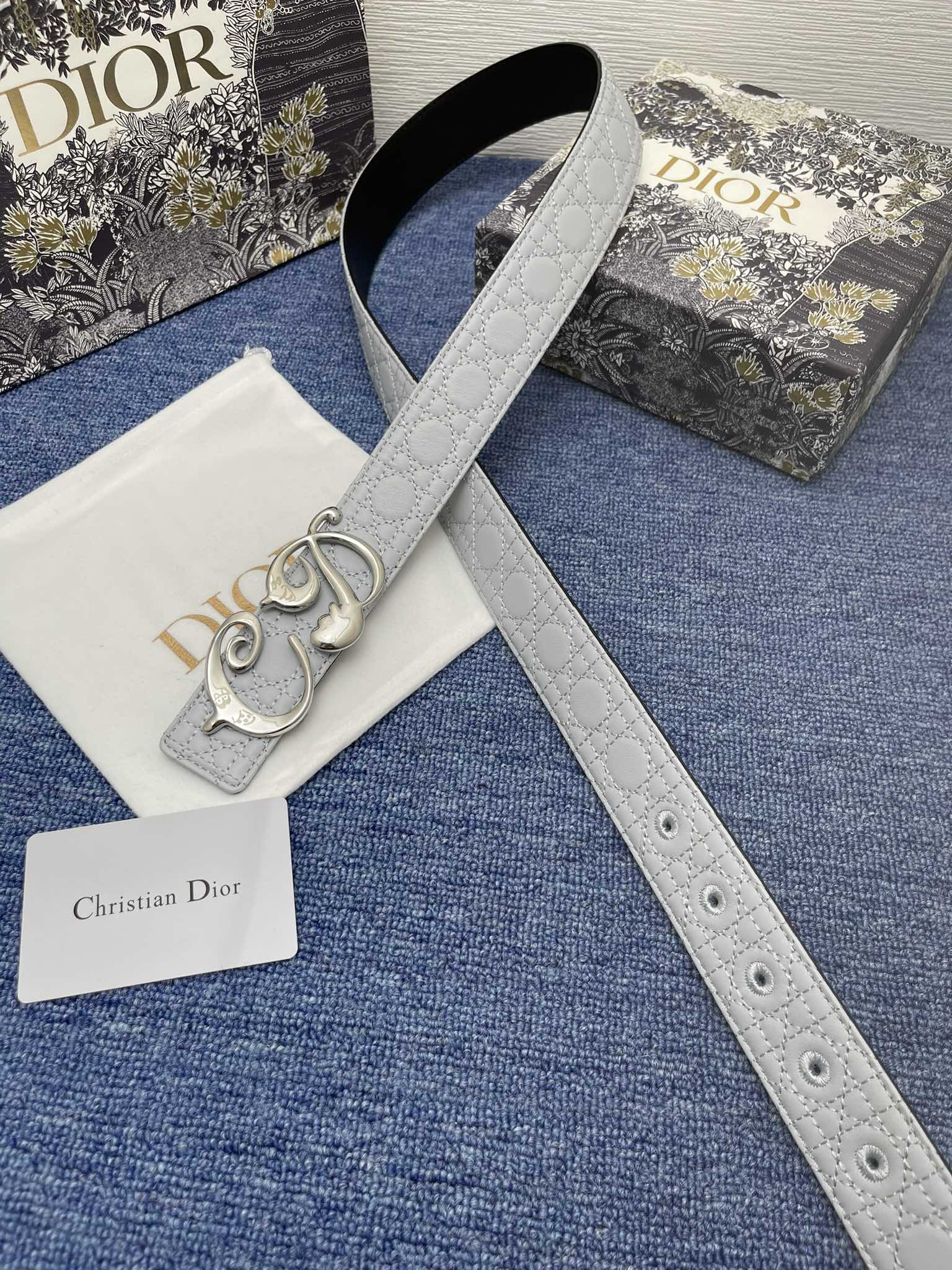 Dior Male Pin Buckle Belt Black Adjustable M