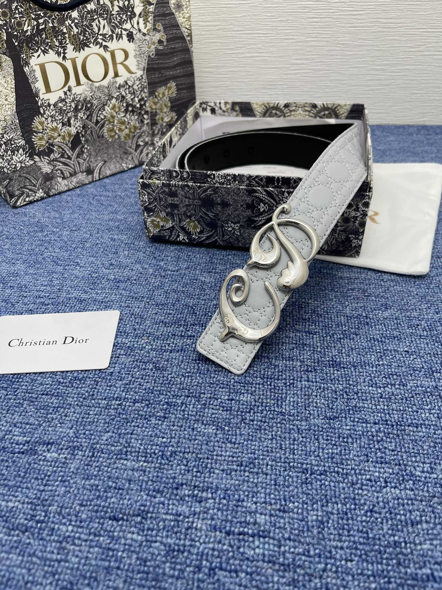 Dior Male Pin Buckle Belt Black Adjustable M