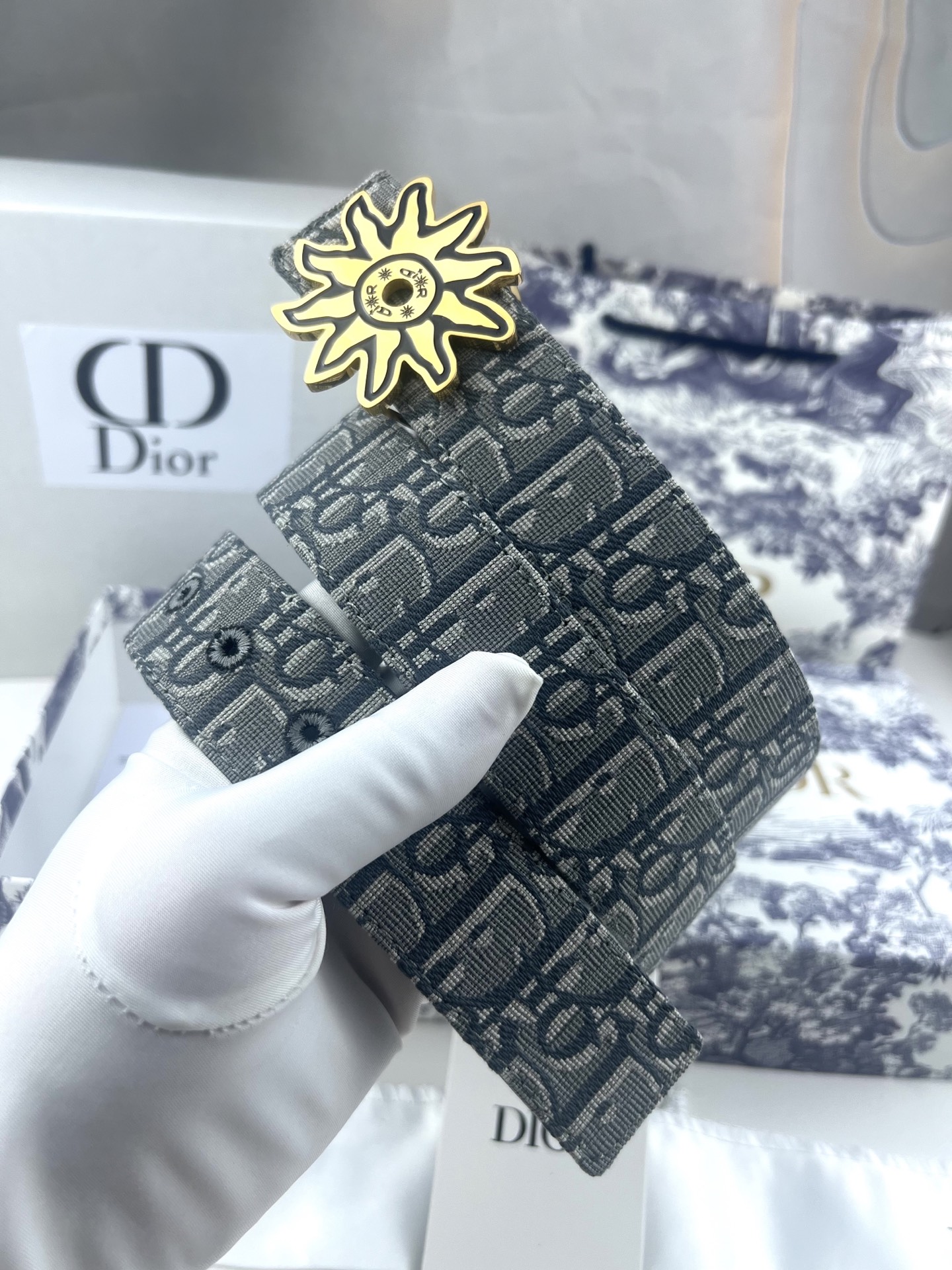 Dior Basic Belt Cow Leather Black L