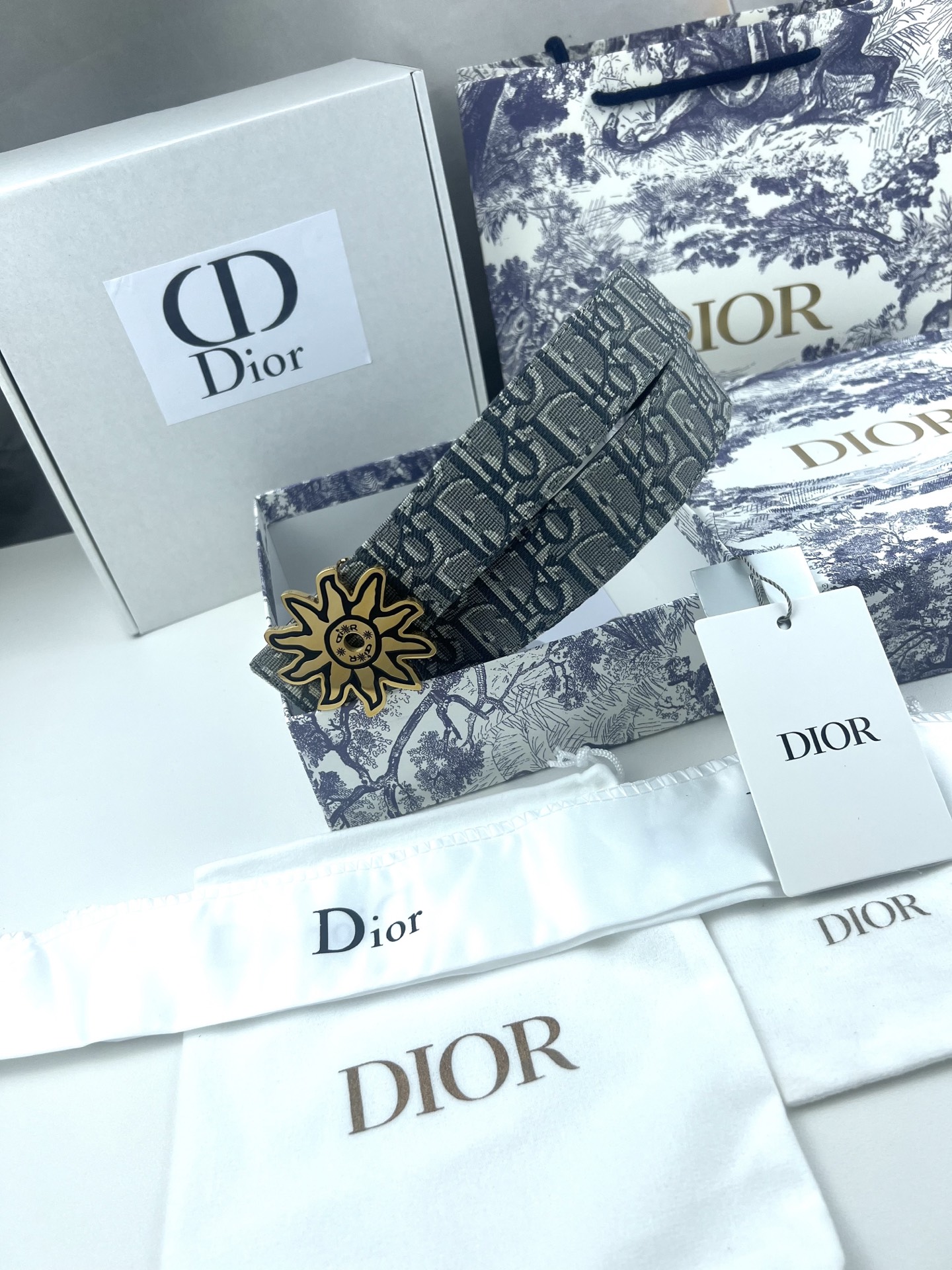 Dior Basic Belt Cow Leather Black L