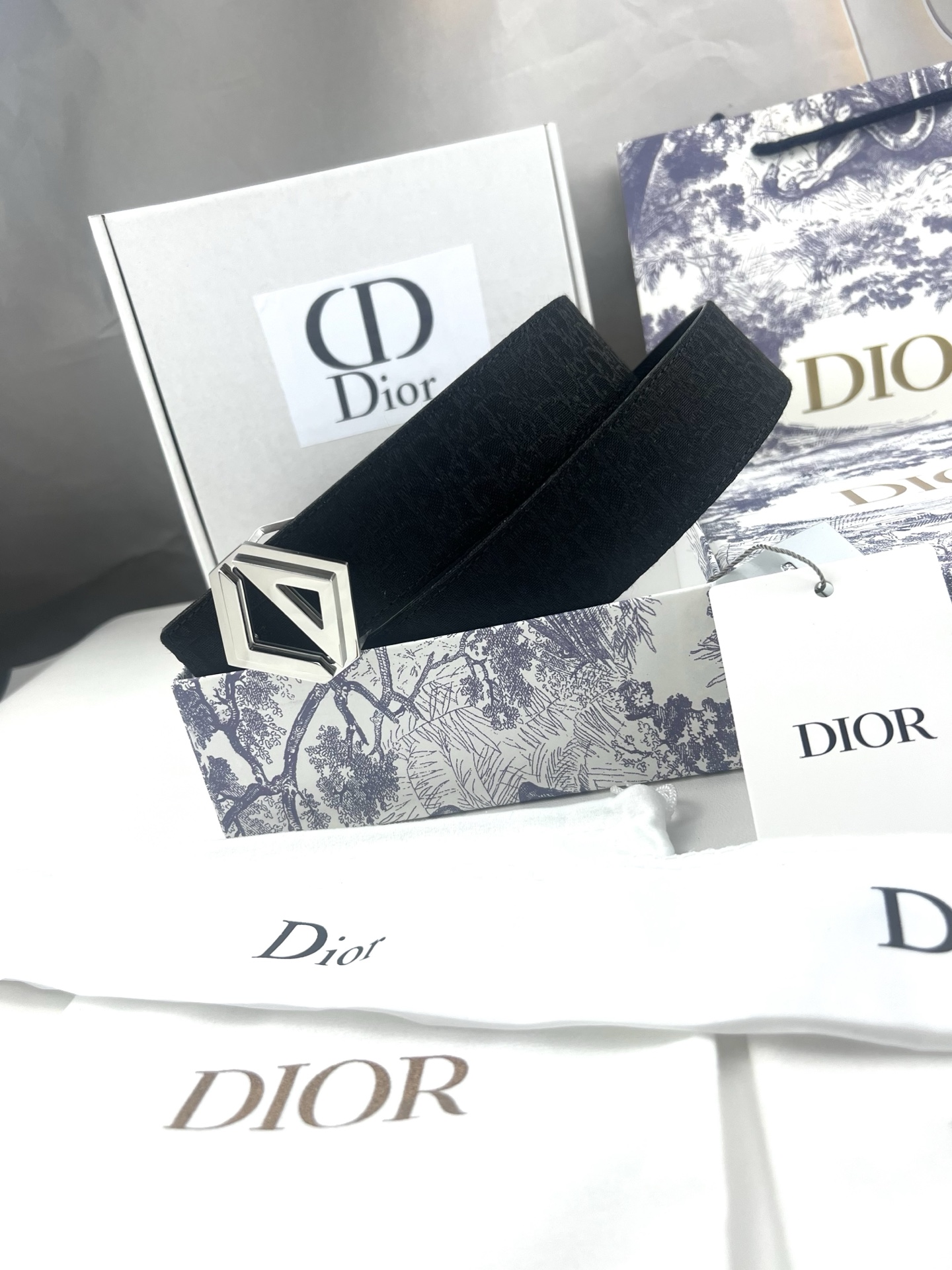 Dior Basic Belt Cow Leather Black L