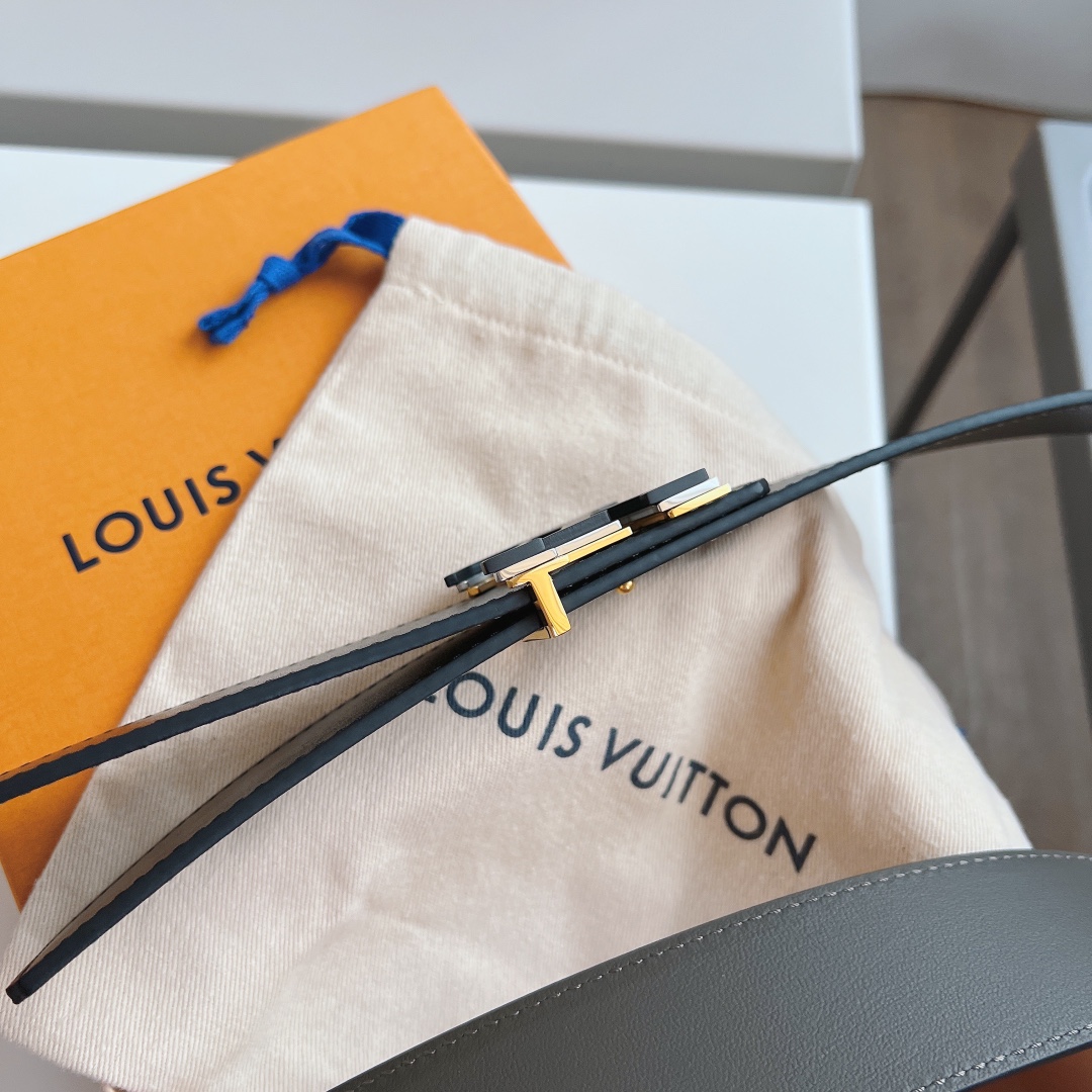 Louis Vuitton Male Basic Belt M-l