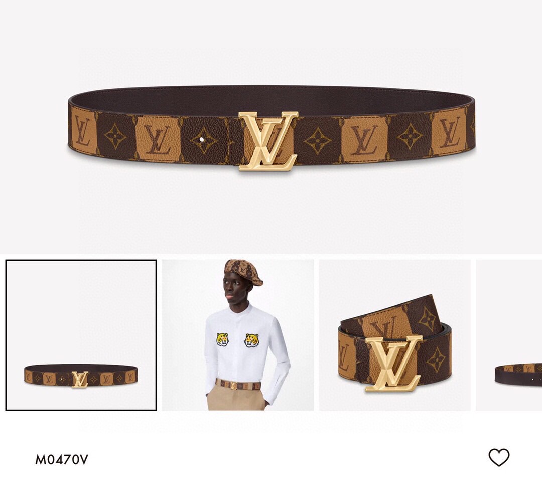 Louis Vuitton Male Basic Belt Cow Leather M-l