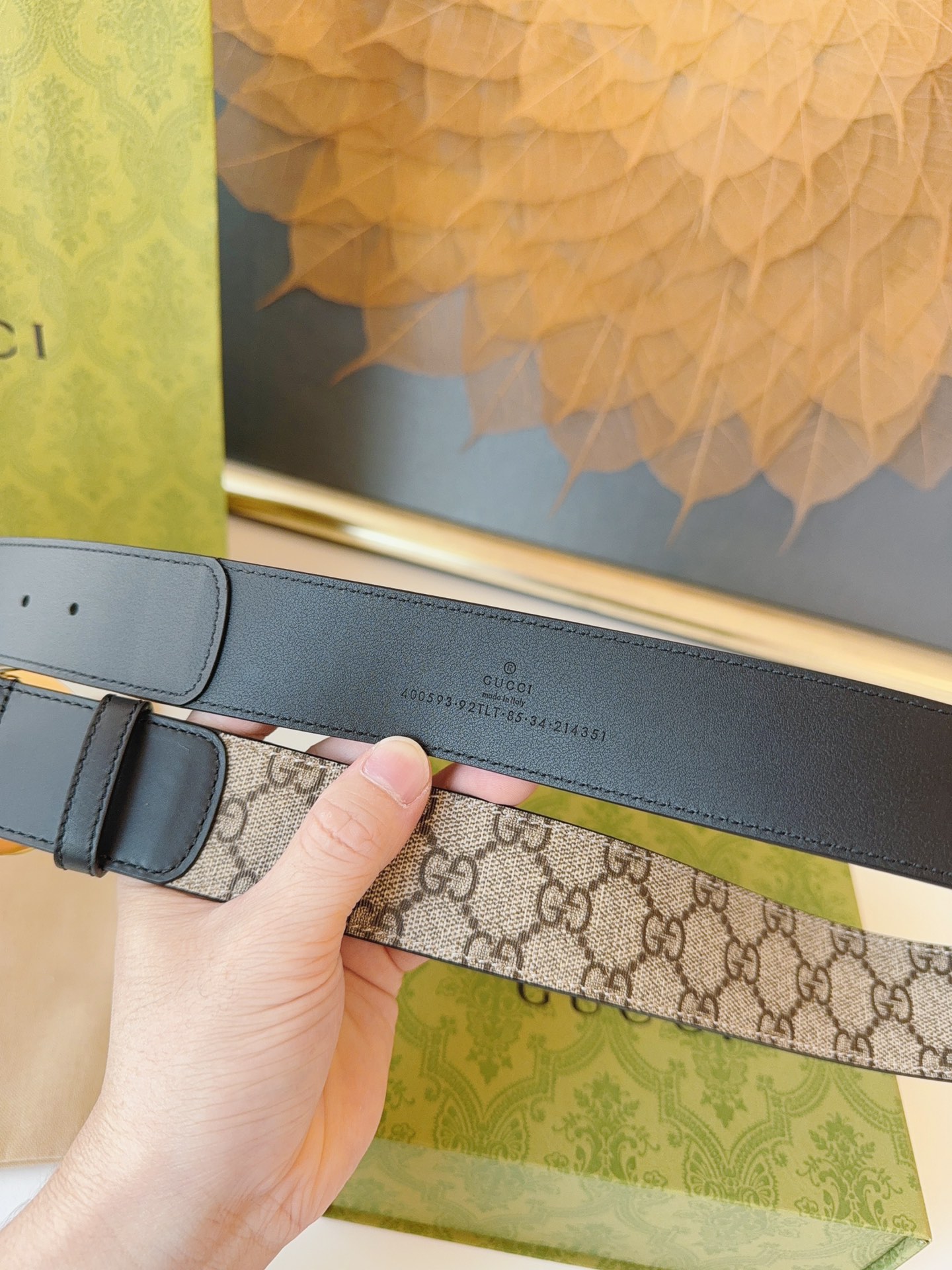 Basic Belt M