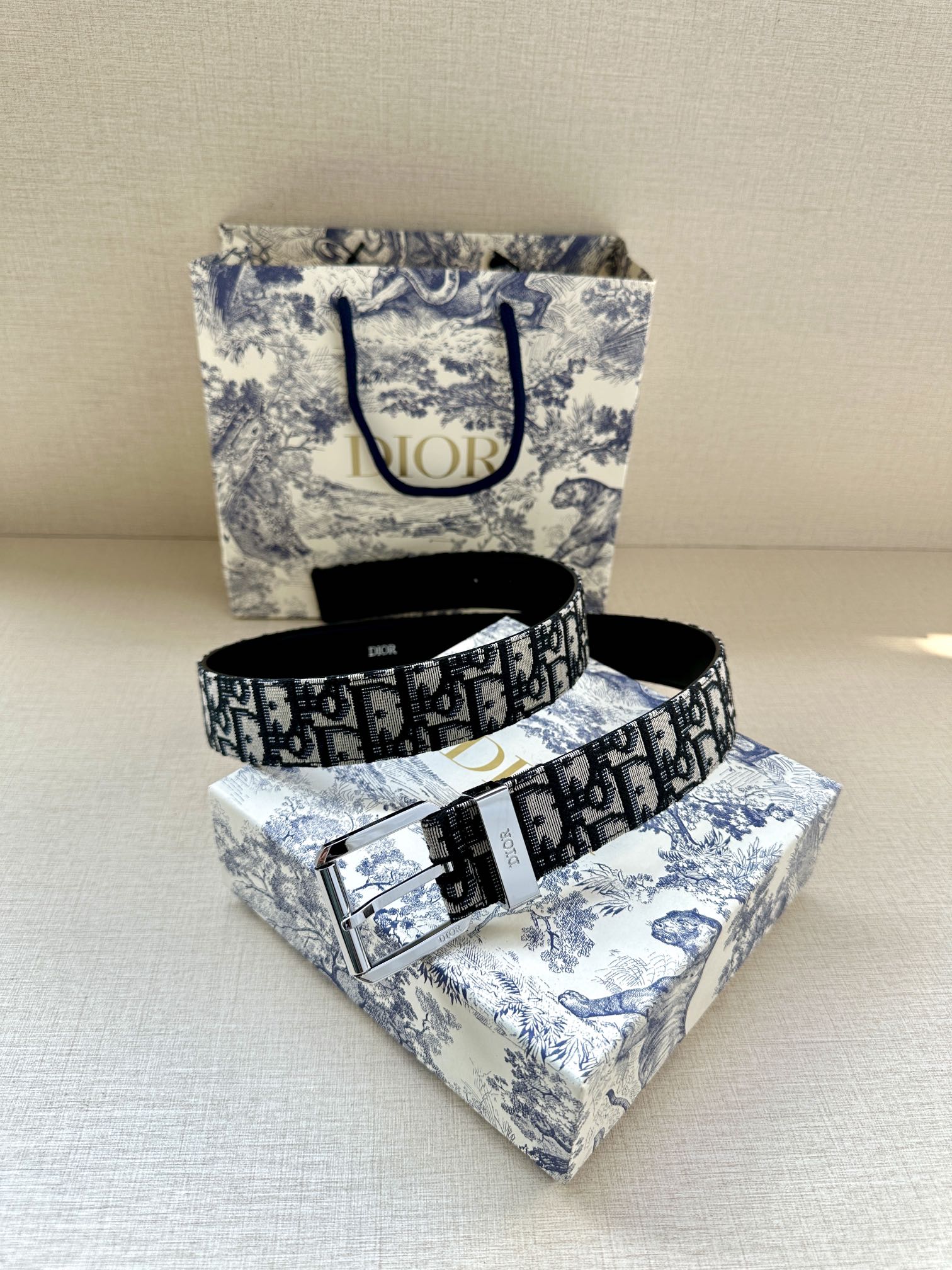 Dior Basic Belt Black Adjustable L