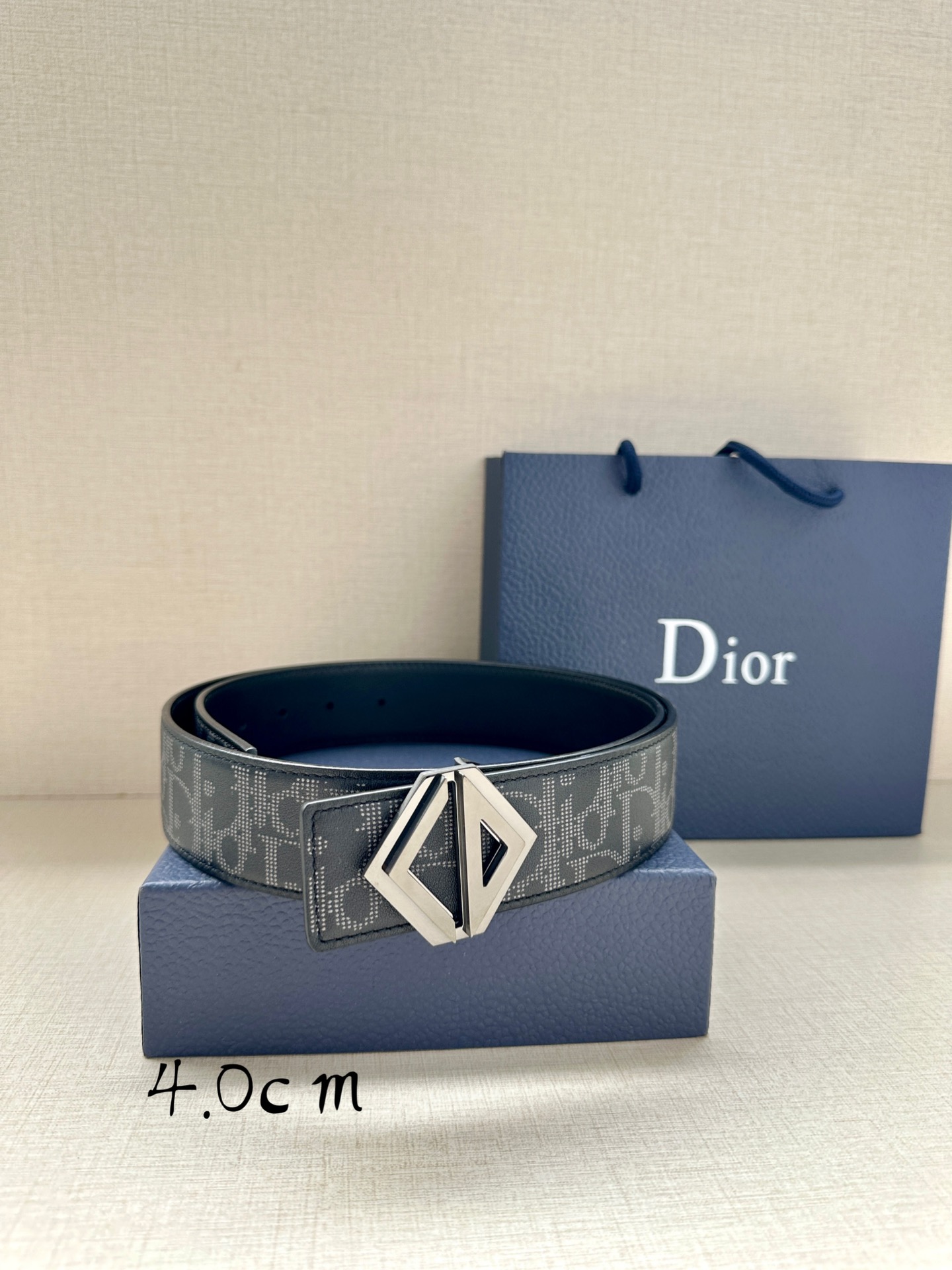 Dior Basic Belt Cow Leather Black M-l