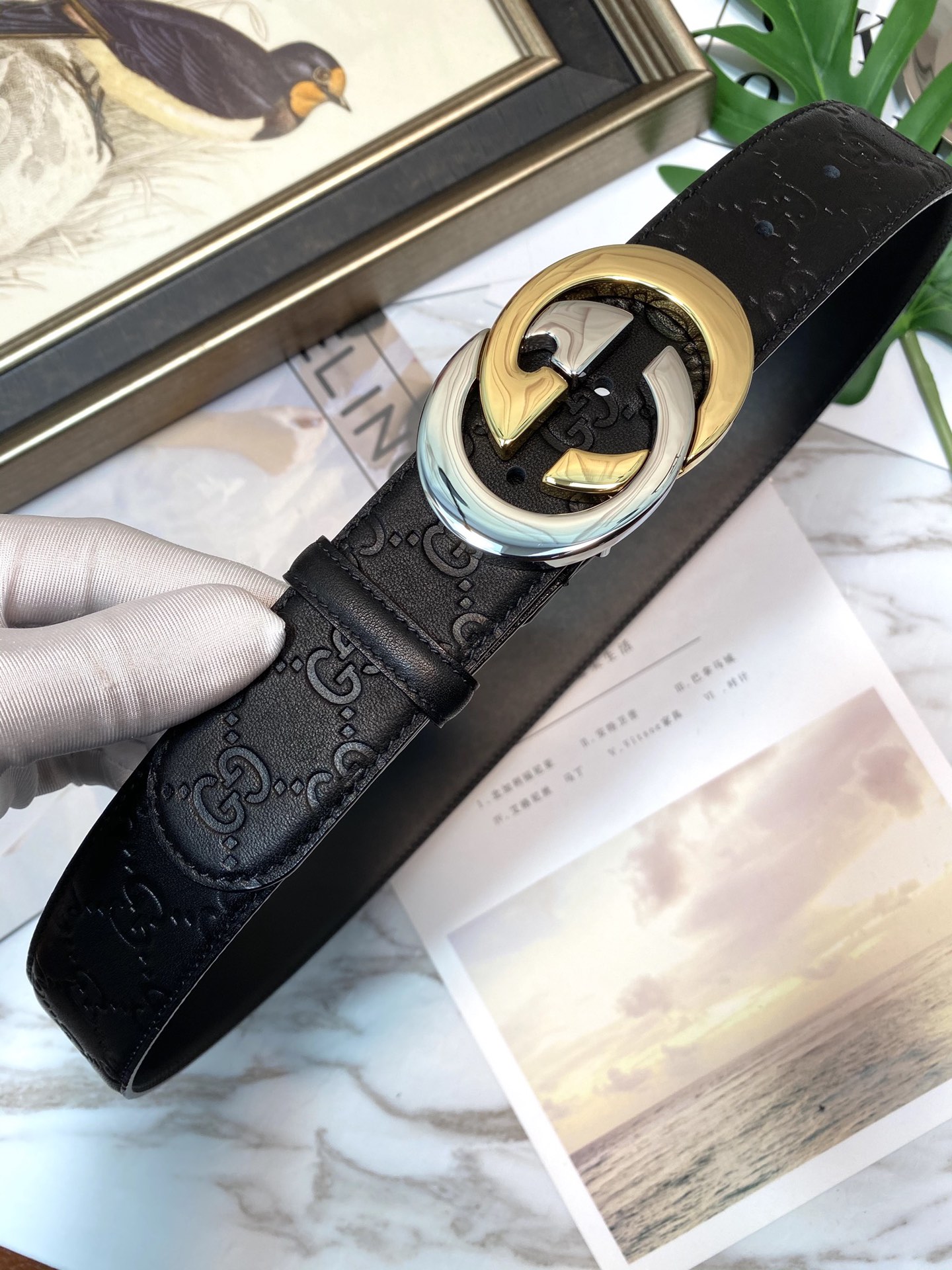 Gucci Basic Belt Top Grain Leather