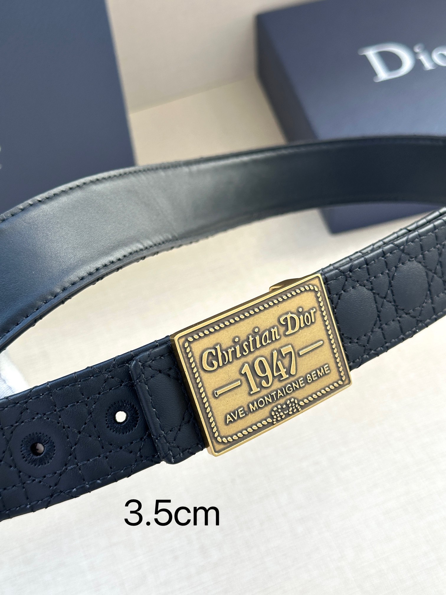 Dior Pin Buckle Belt Cow Leather Black Adjustable M