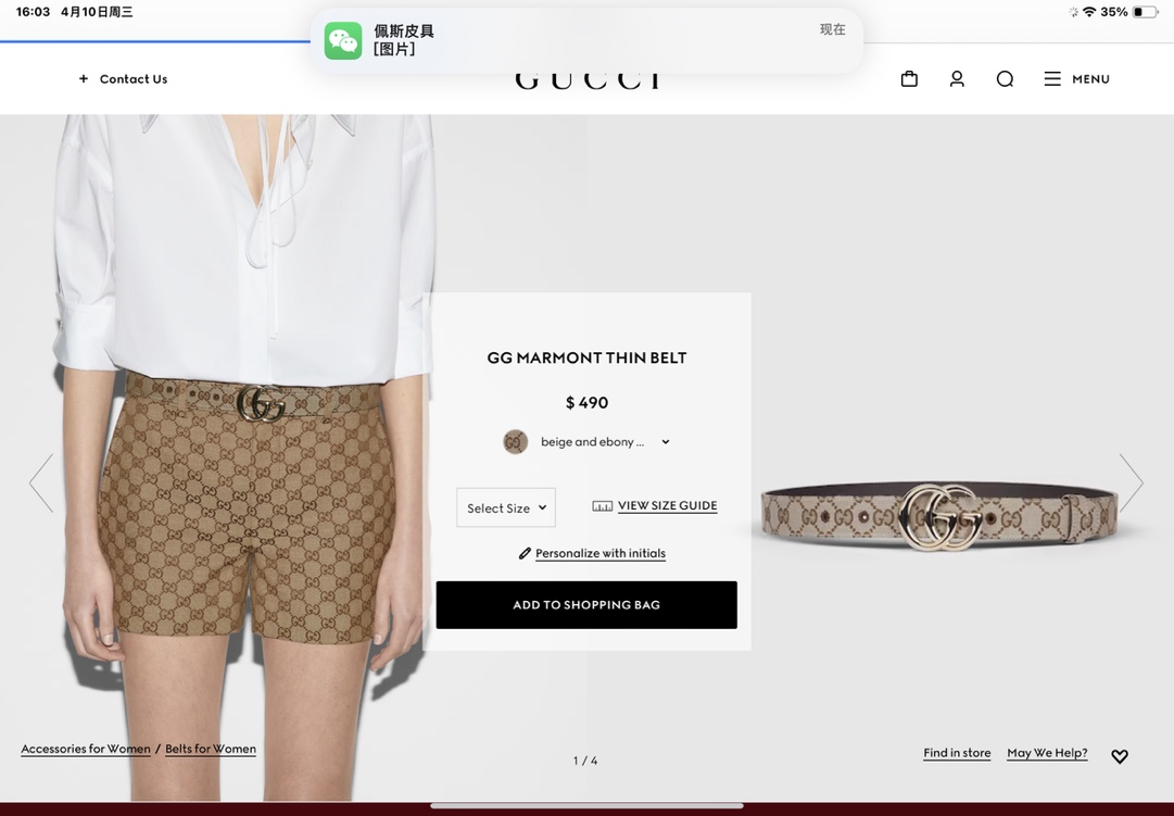 Gucci Female Basic Belt Canvas Brown