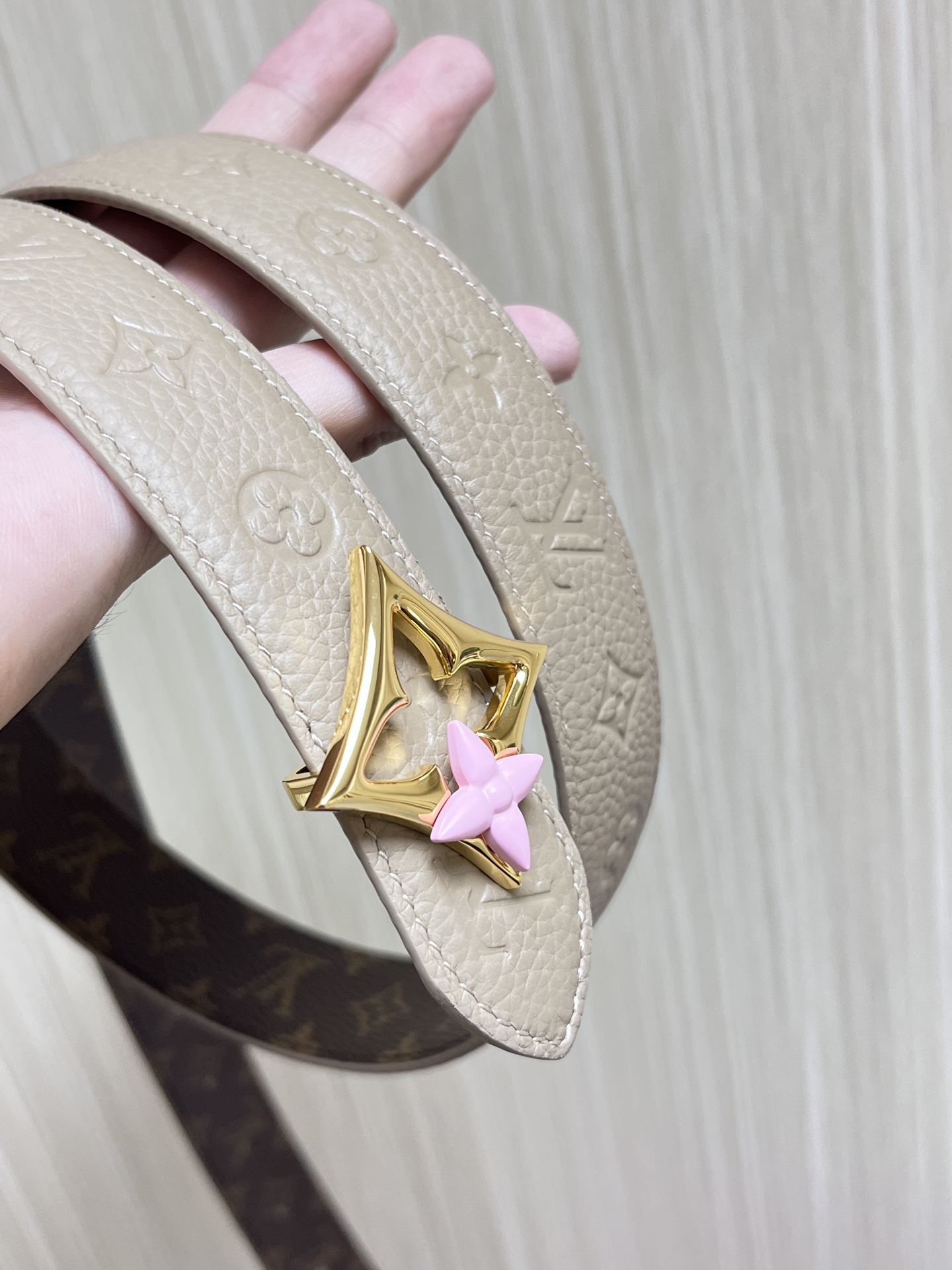 Louis Vuitton Female Basic Belt Canvas M