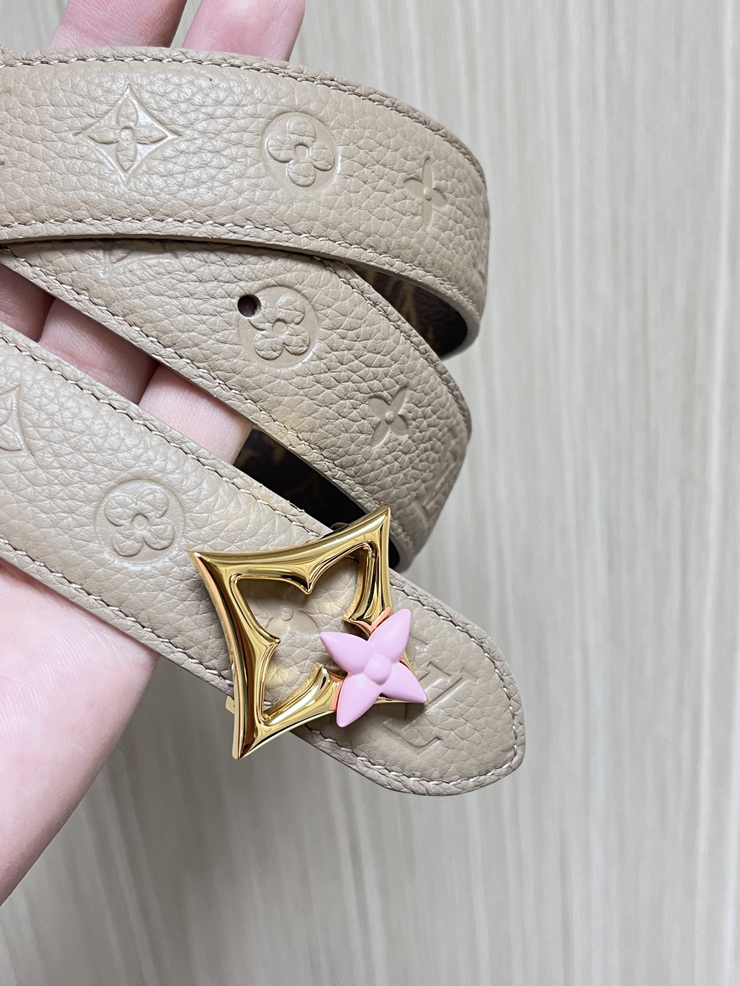 Louis Vuitton Female Basic Belt Canvas M