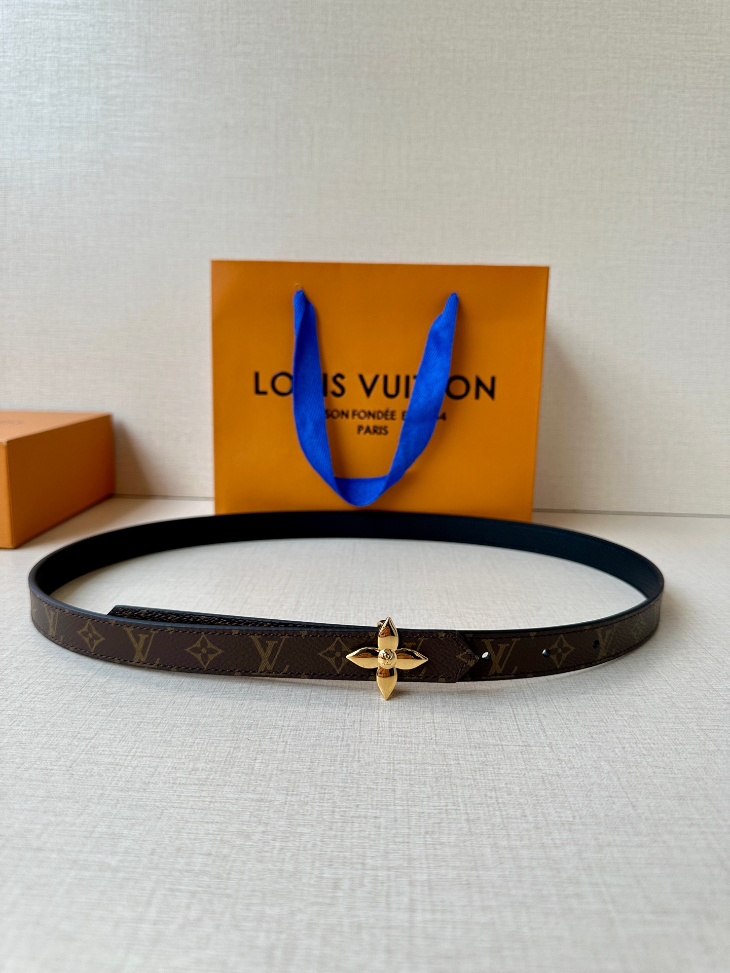 Louis Vuitton Female Basic Belt Canvas M-l