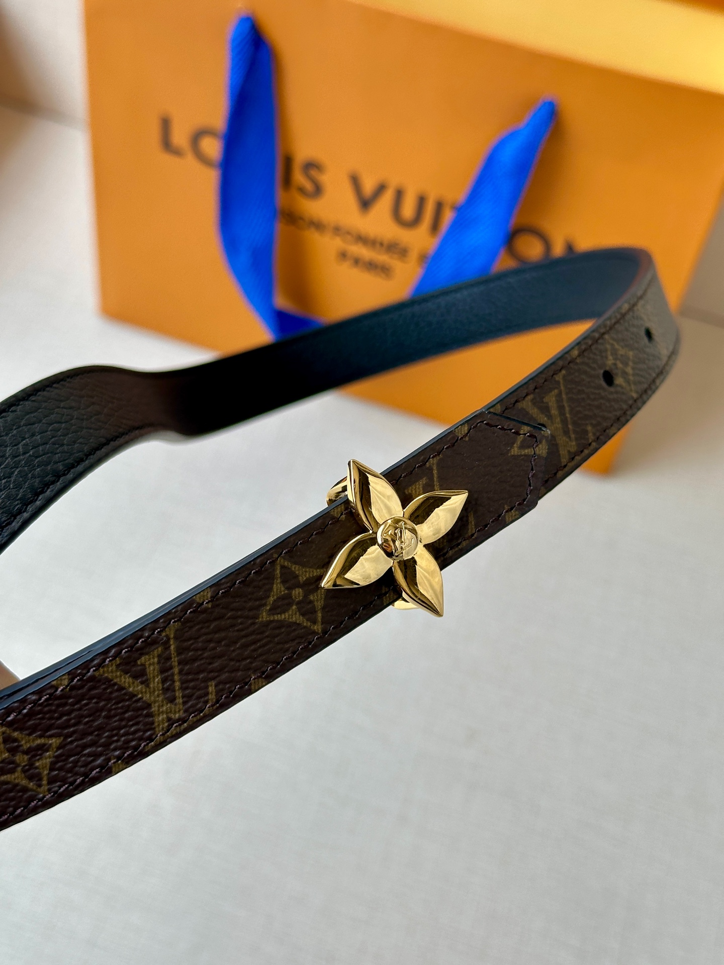 Louis Vuitton Female Basic Belt Canvas M-l