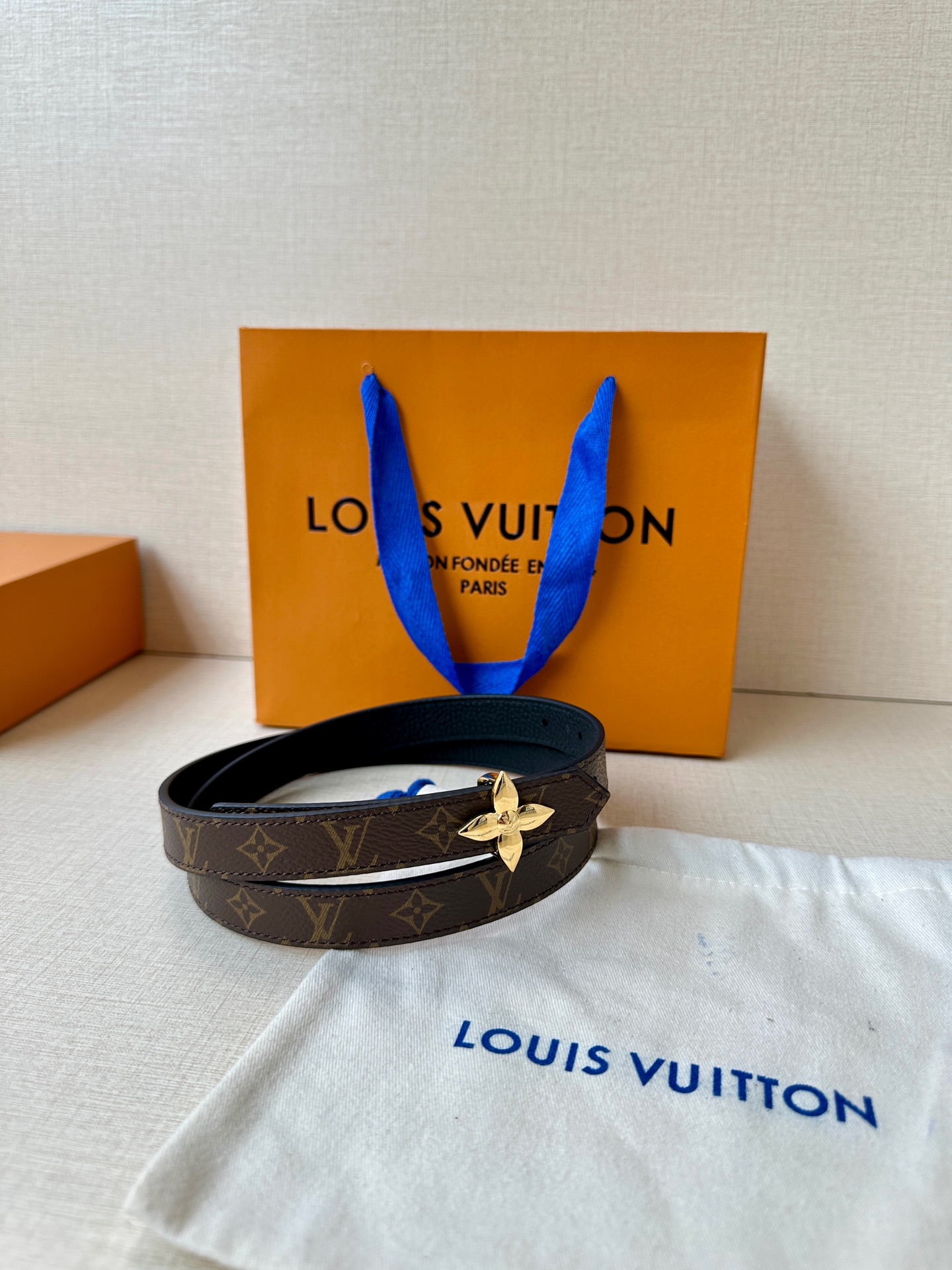Louis Vuitton Female Basic Belt Canvas M-l
