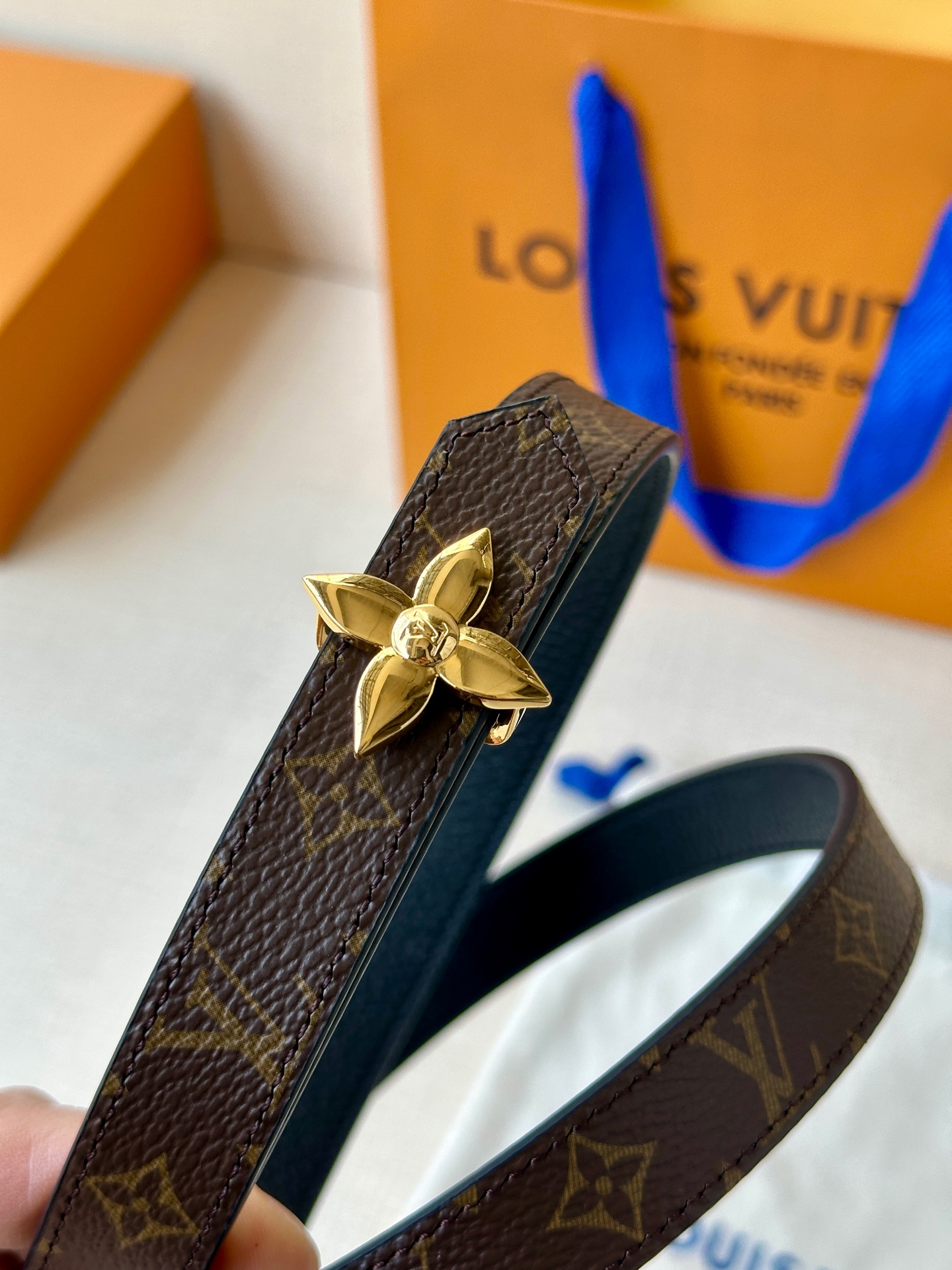 Louis Vuitton Female Basic Belt Canvas M-l