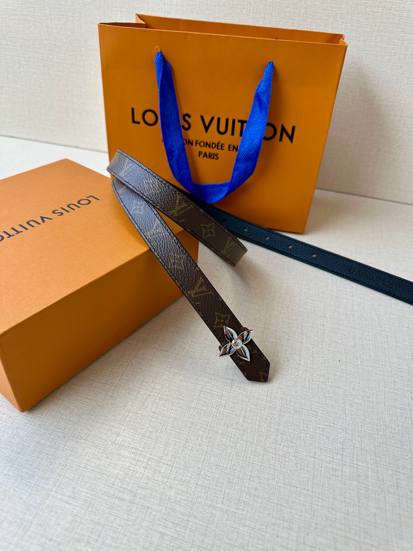 Louis Vuitton Female Basic Belt Canvas M-l