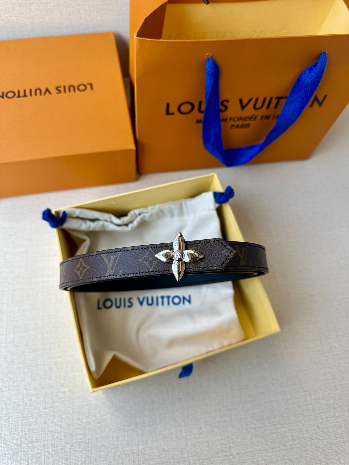 Louis Vuitton Female Basic Belt Canvas M-l