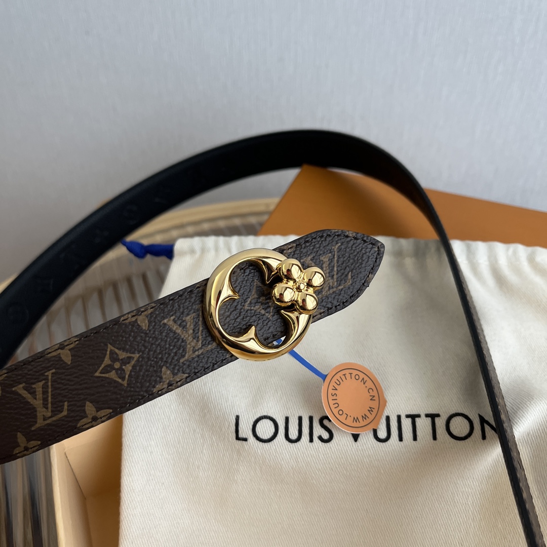 Louis Vuitton Female Basic Belt Canvas M-l