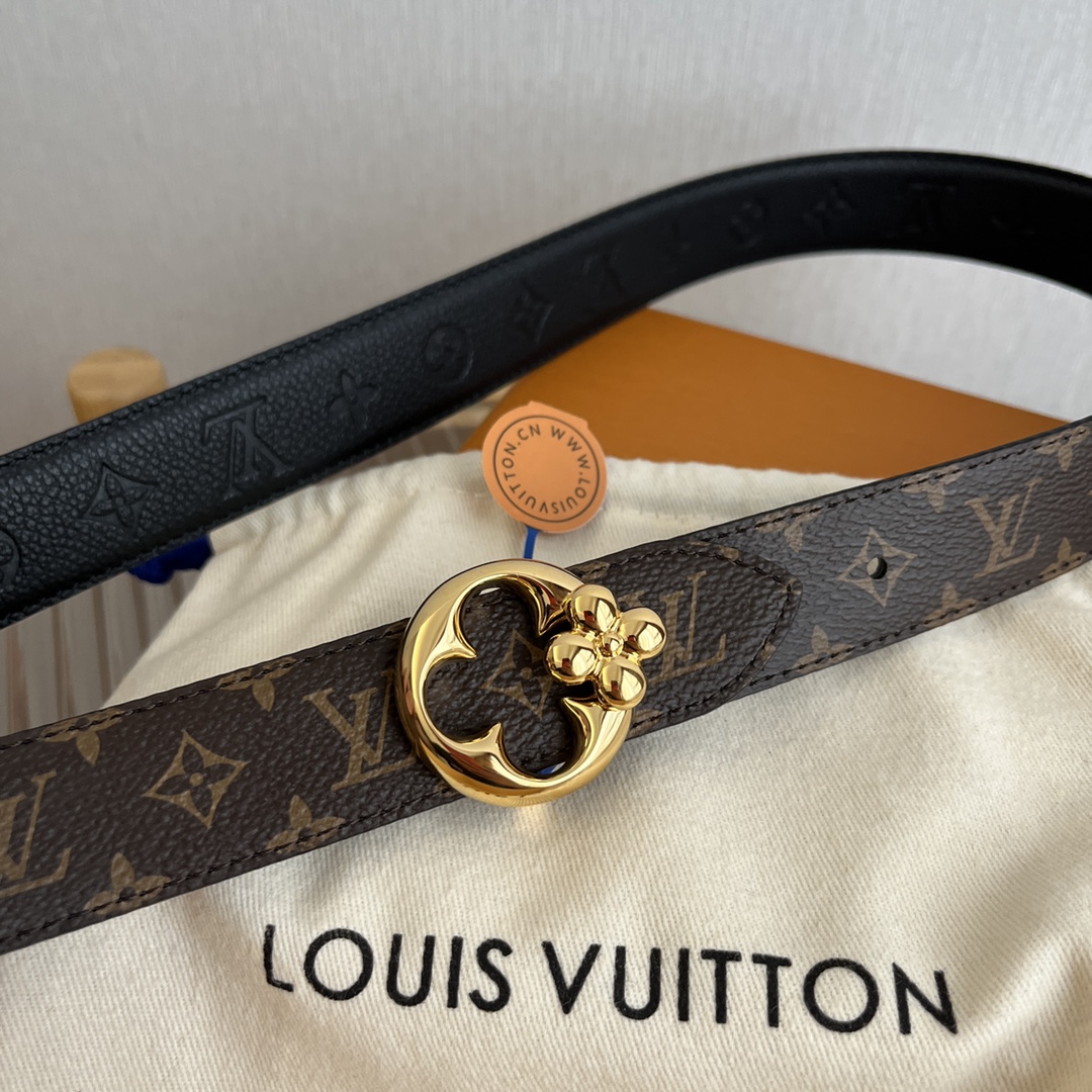 Louis Vuitton Female Basic Belt Canvas M-l