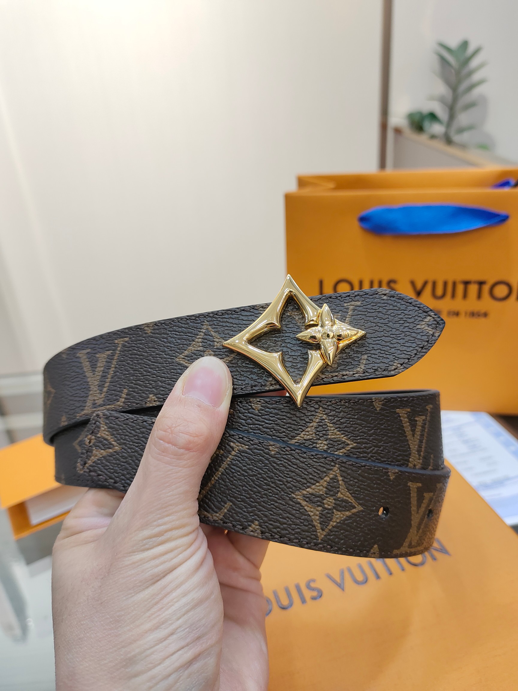 Louis Vuitton Female Basic Belt Cow Leather M-l