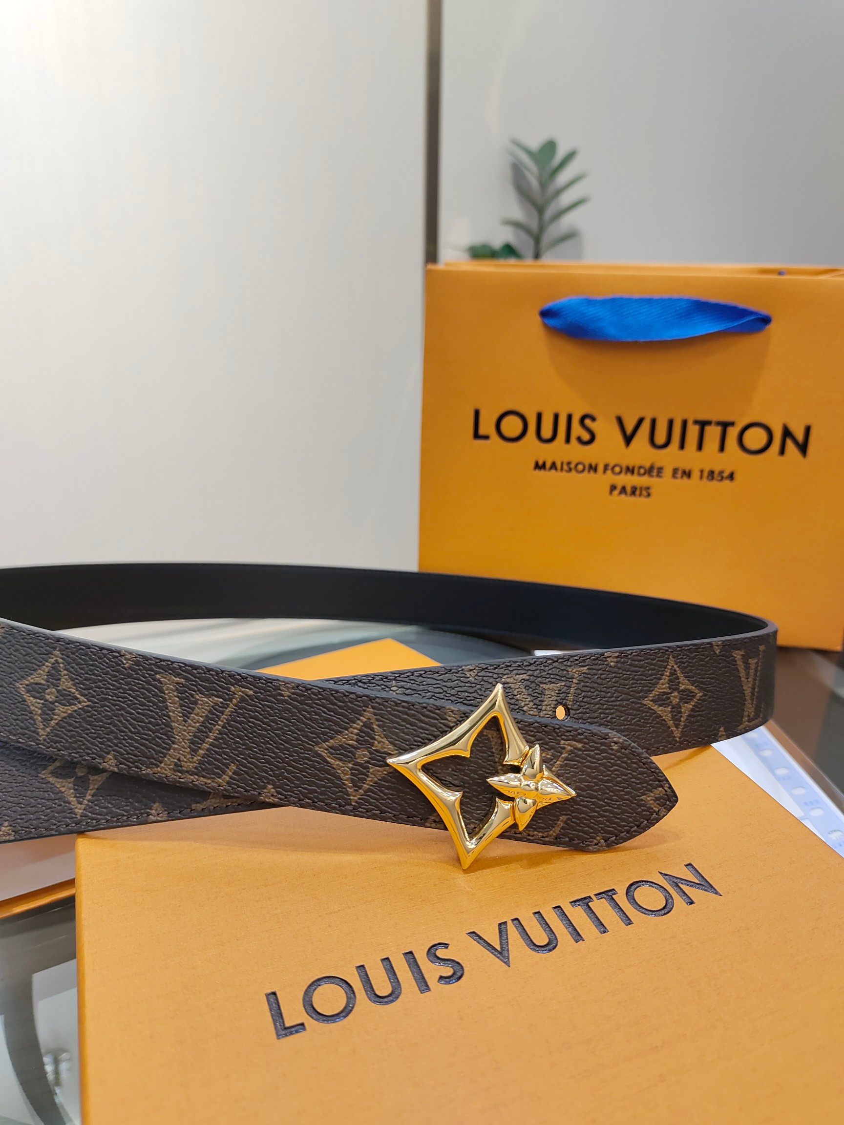 Louis Vuitton Female Basic Belt Cow Leather M-l