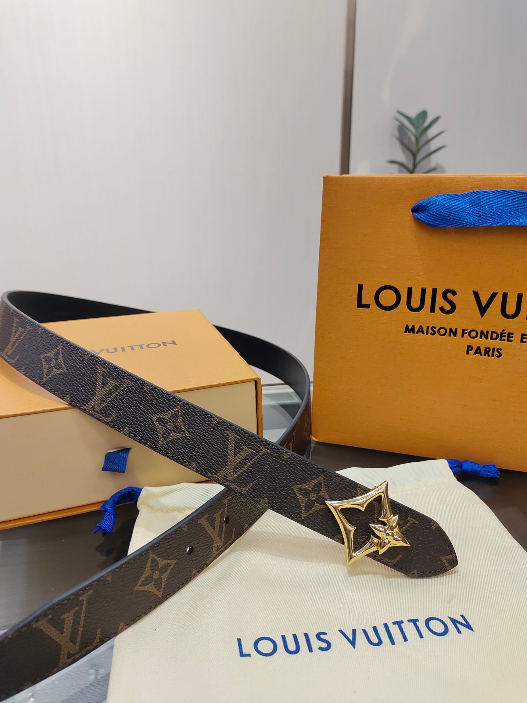 Louis Vuitton Female Basic Belt Cow Leather M-l