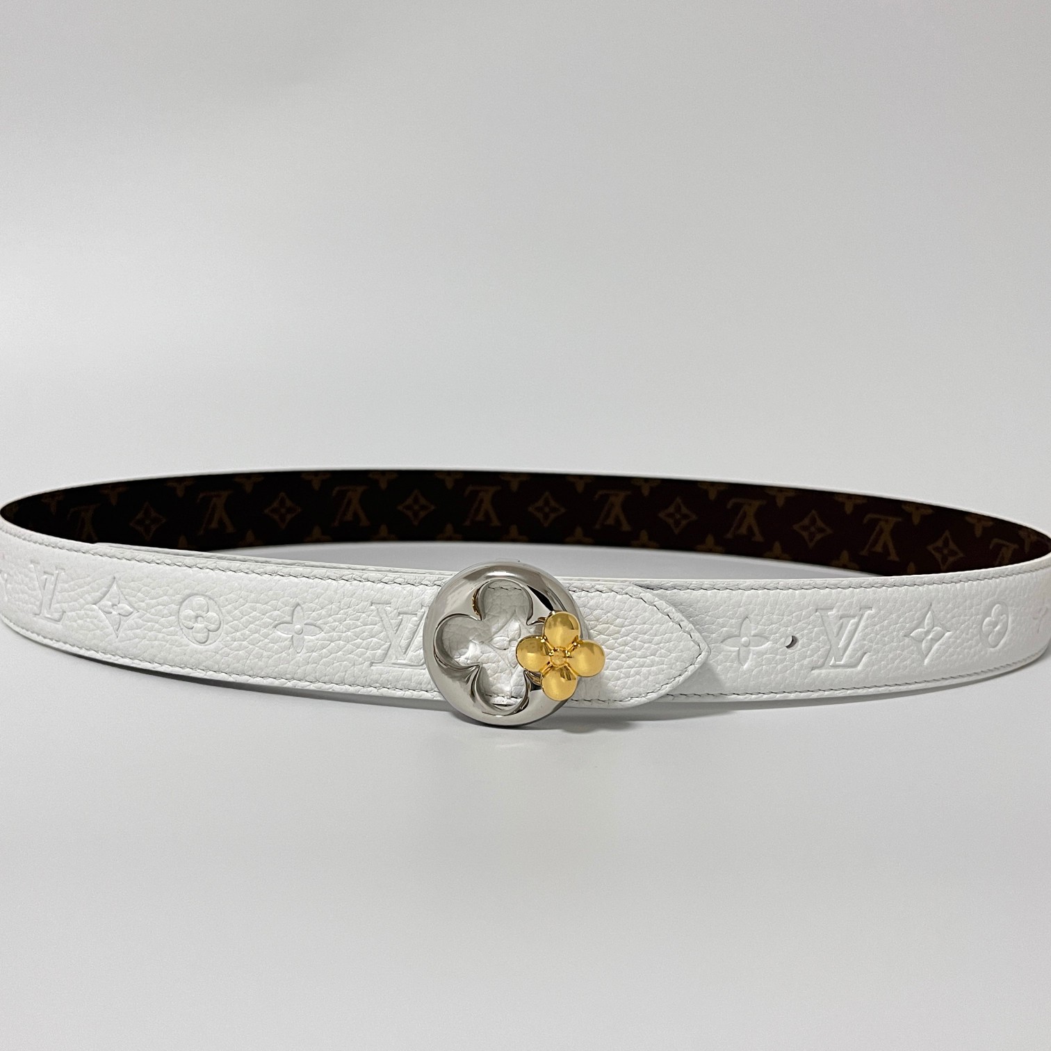 Louis Vuitton Female Basic Belt Canvas M-l