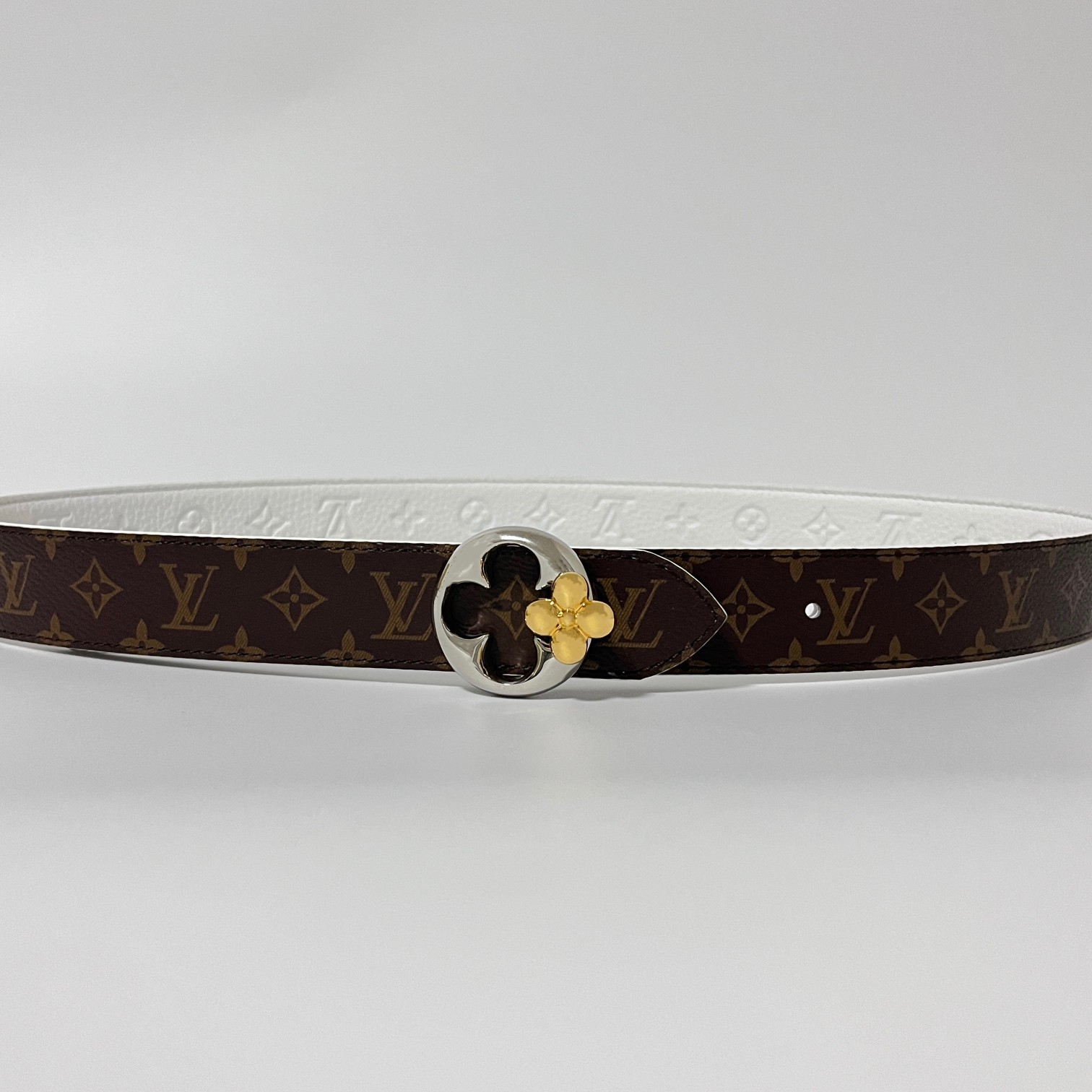 Louis Vuitton Female Basic Belt Canvas M-l