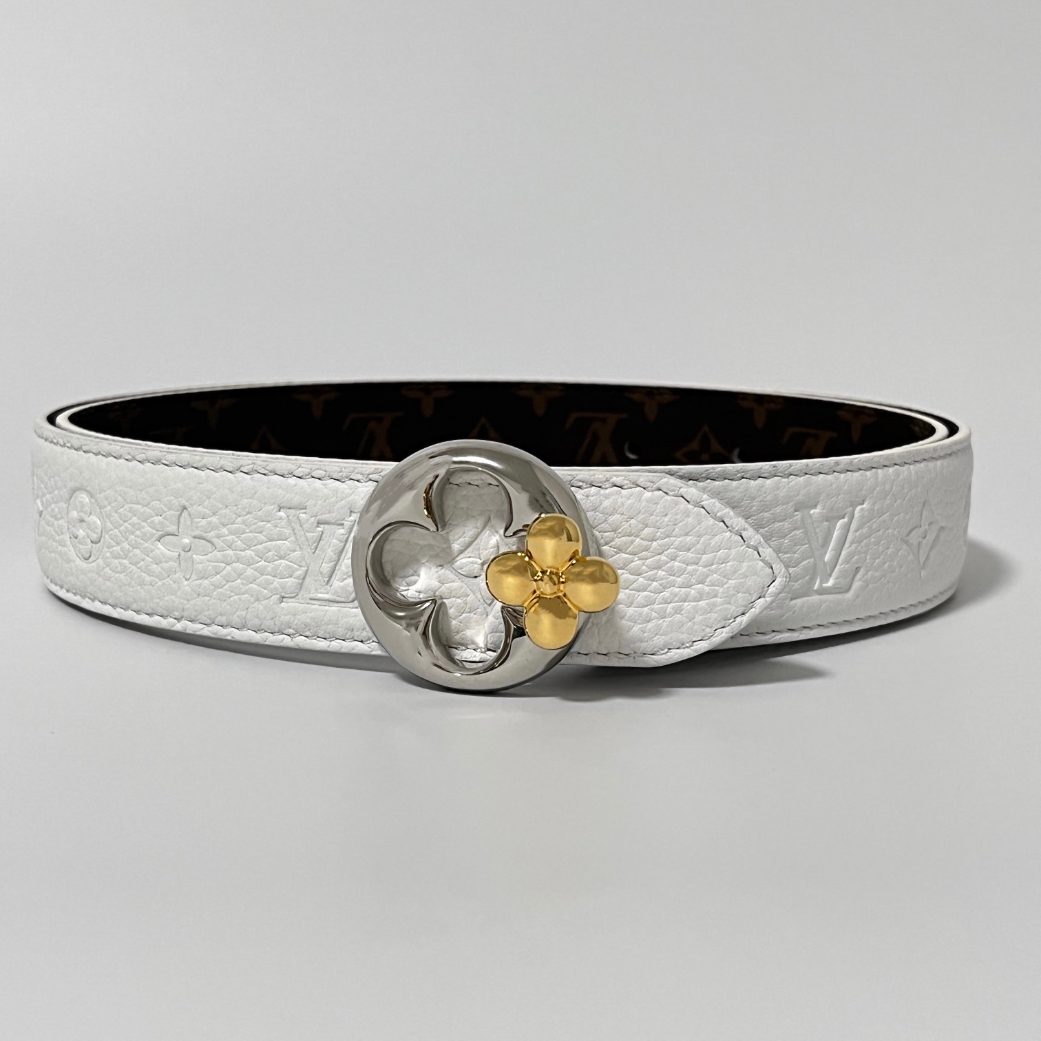 Louis Vuitton Female Basic Belt Canvas M-l