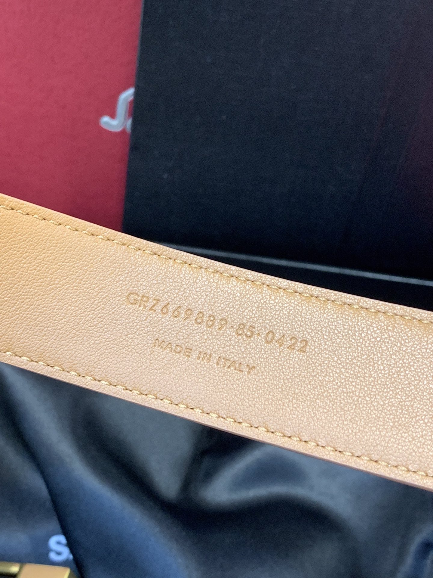 Saint Laurent Female Basic Belt Cow Leather Black Adjustable S-l