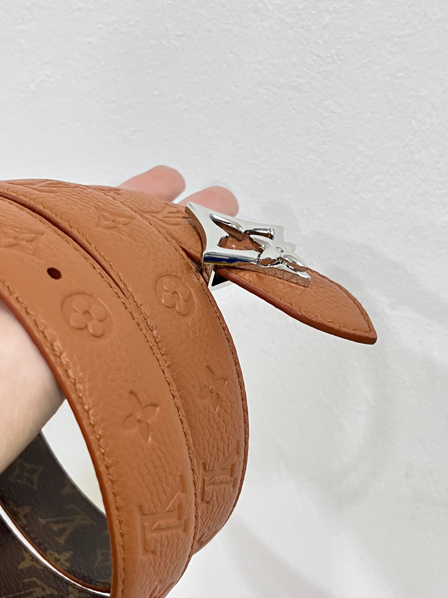 Louis Vuitton Female Basic Belt Canvas M