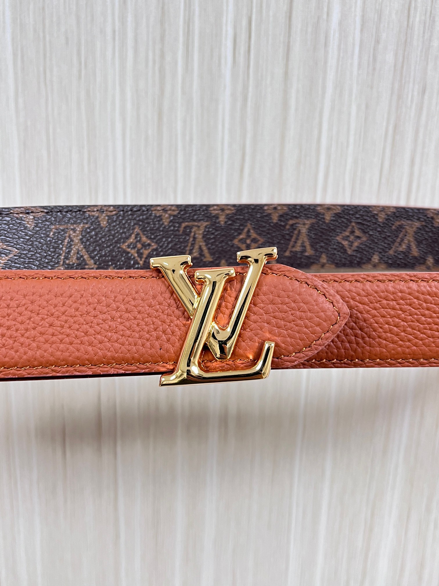 Louis Vuitton Female Basic Belt Canvas M-l