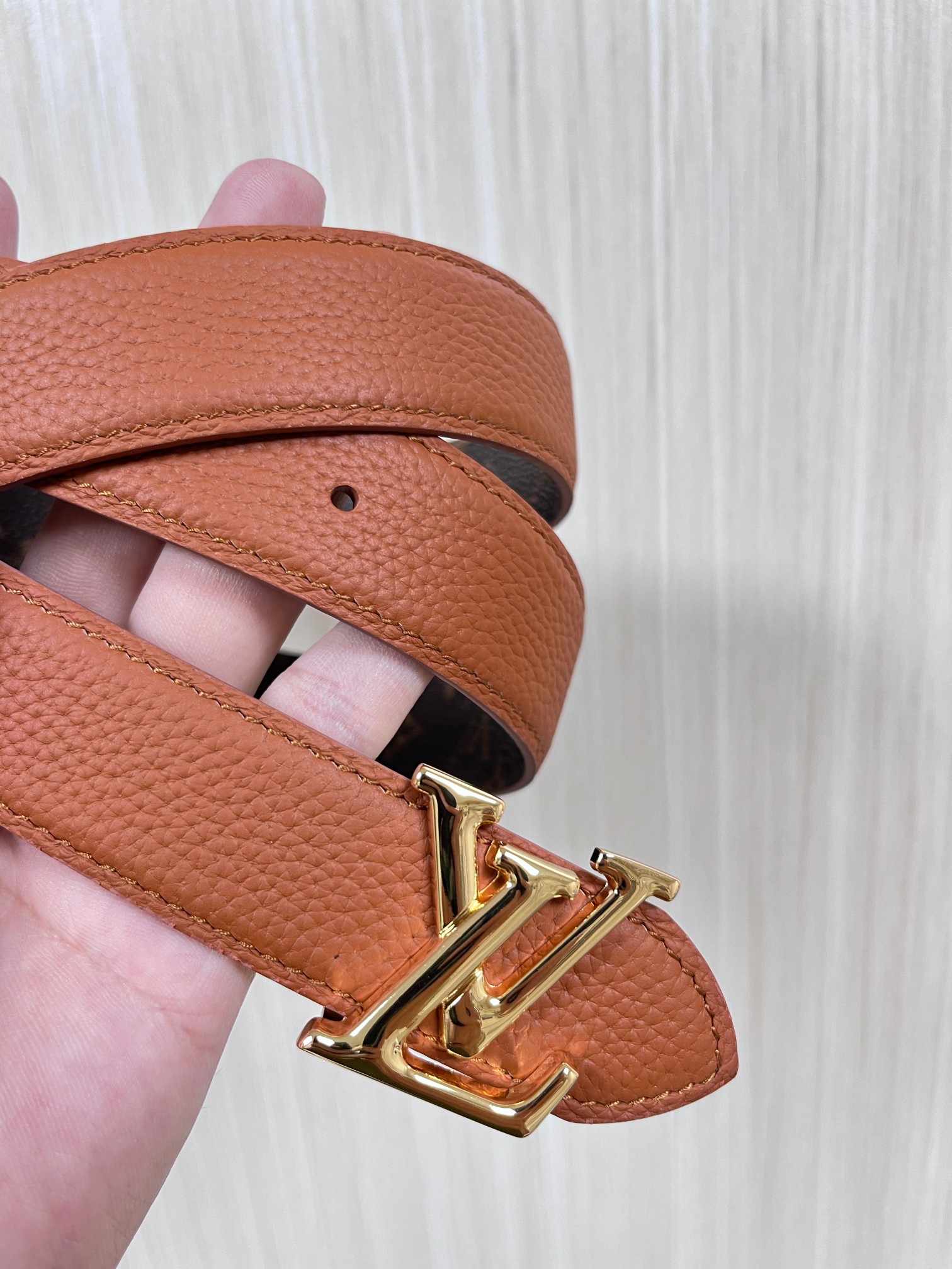 Louis Vuitton Female Basic Belt Canvas M-l