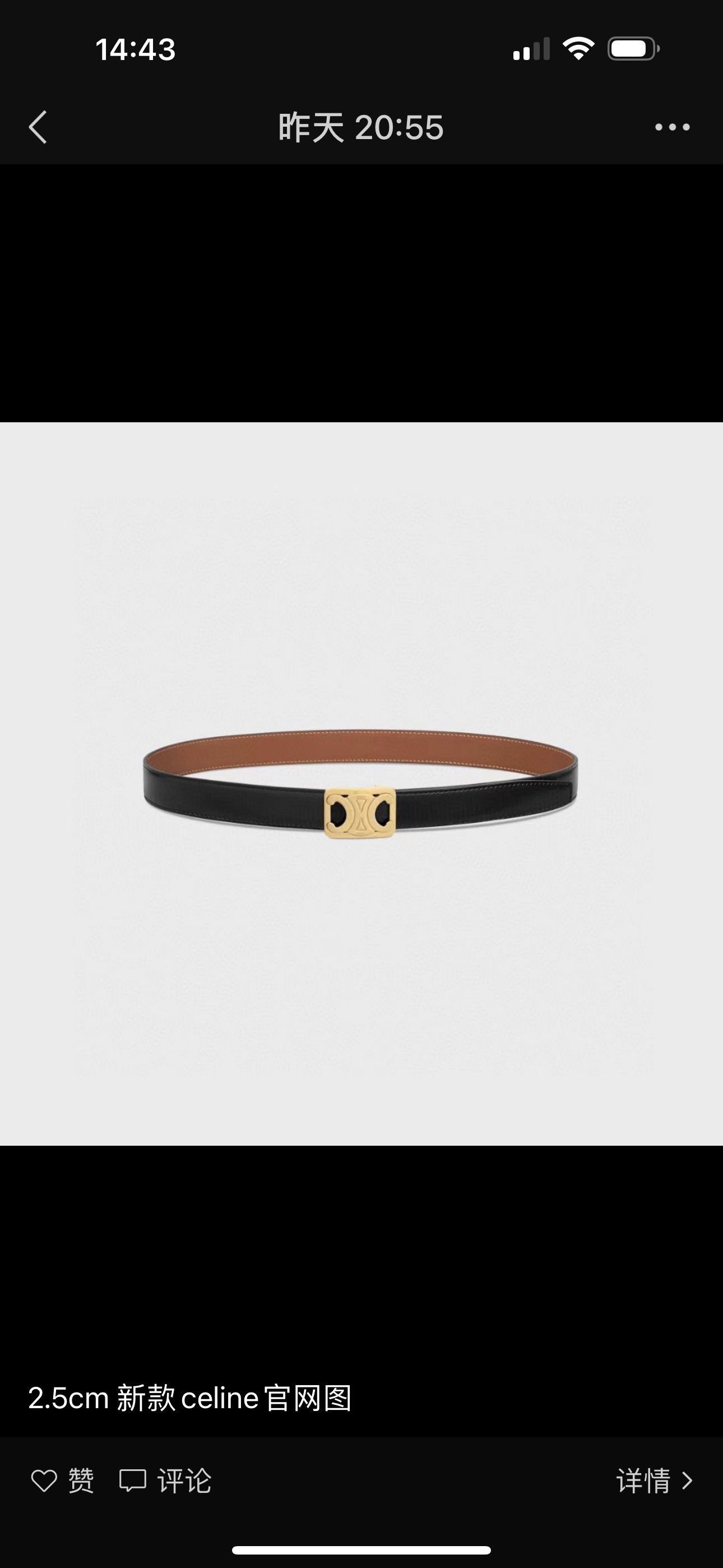 Celine Female Basic Belt M