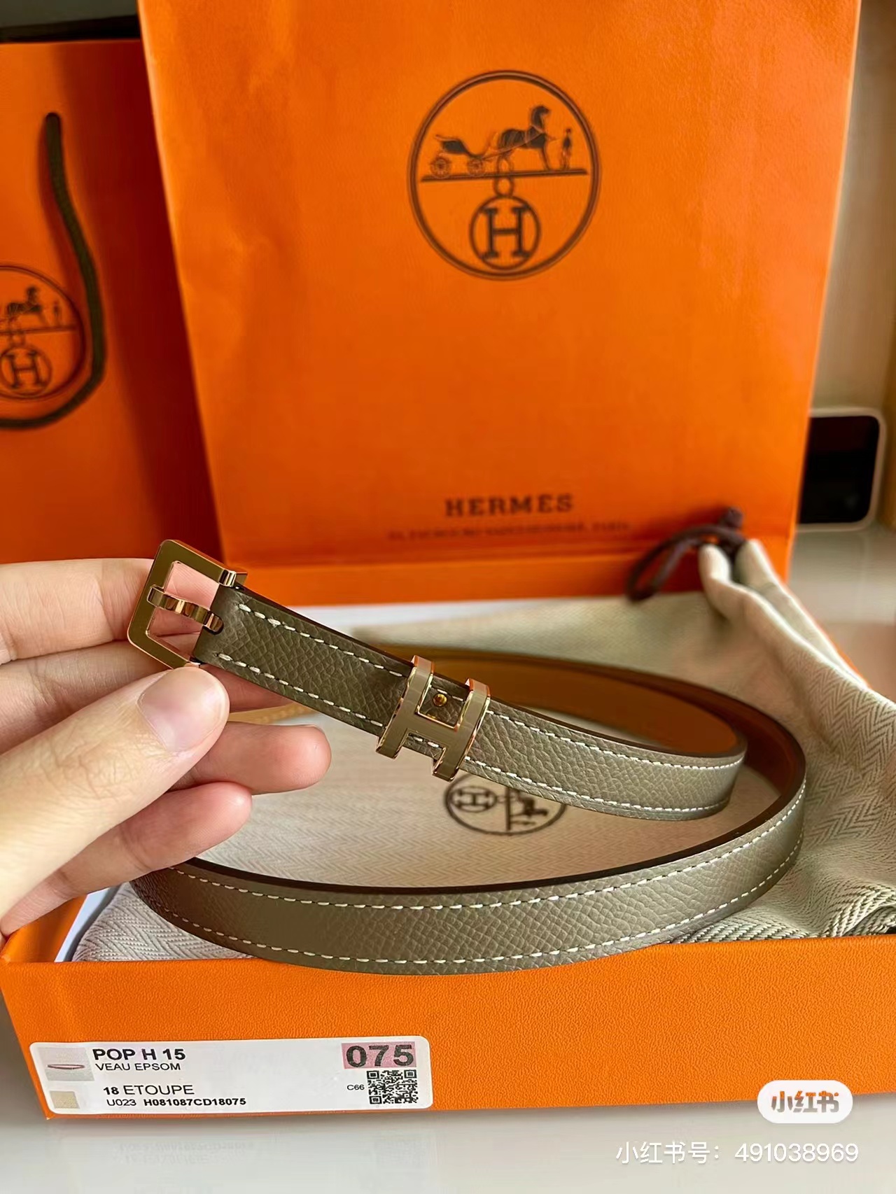 Female Basic Belt M