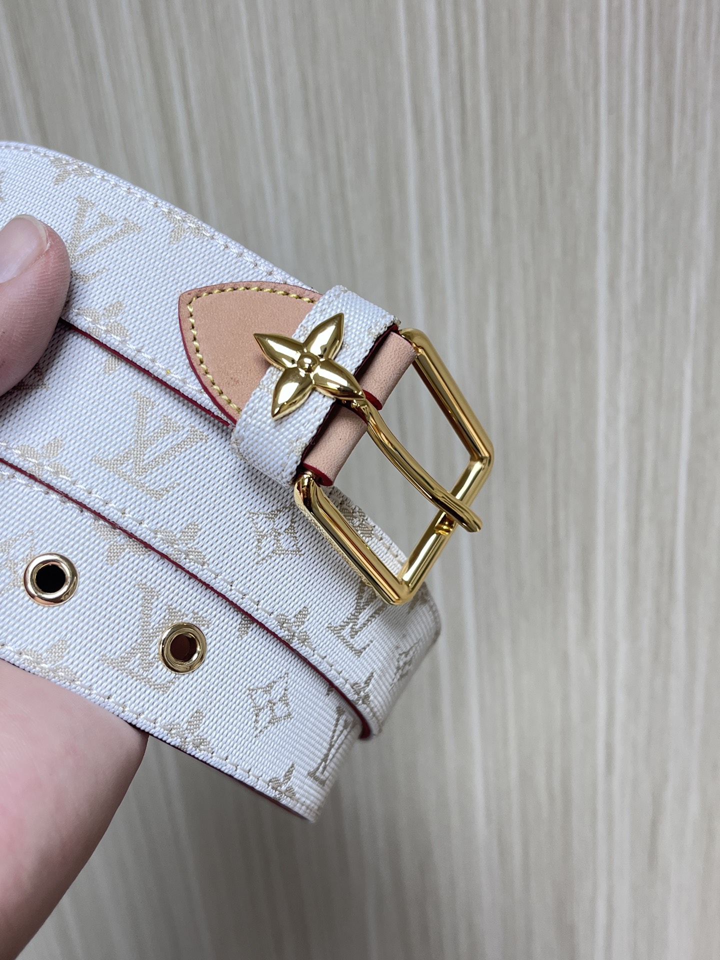 Louis Vuitton Female Basic Belt Canvas 0mm-m-l