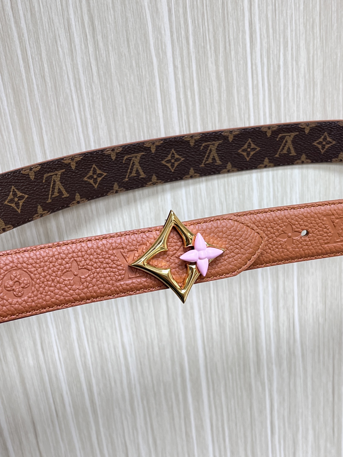 Louis Vuitton Female Basic Belt Canvas M-l