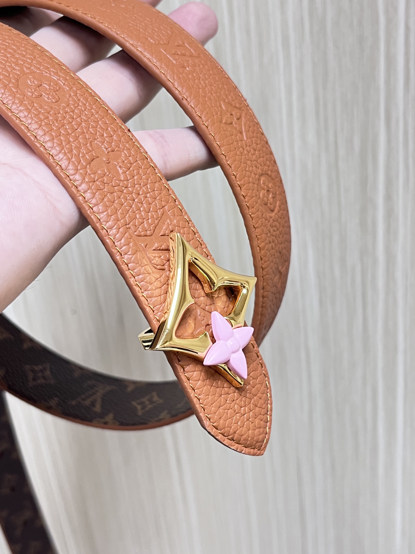 Louis Vuitton Female Basic Belt Canvas M-l