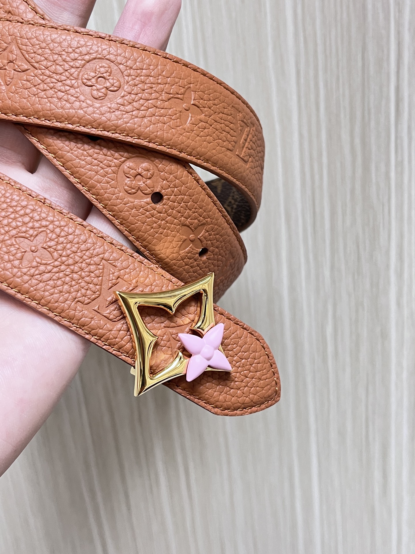 Louis Vuitton Female Basic Belt Canvas M-l