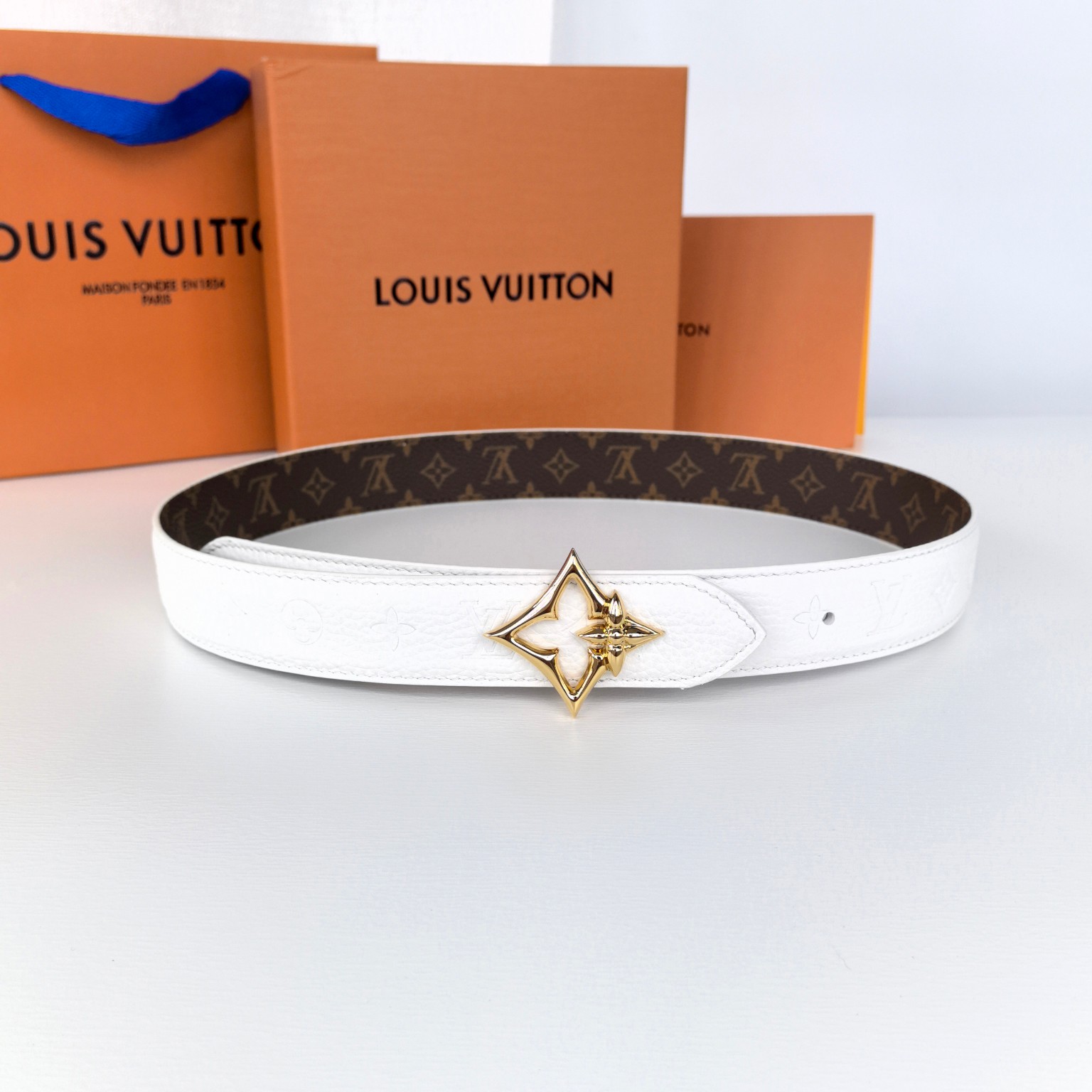 Louis Vuitton Female Basic Belt Canvas M-l
