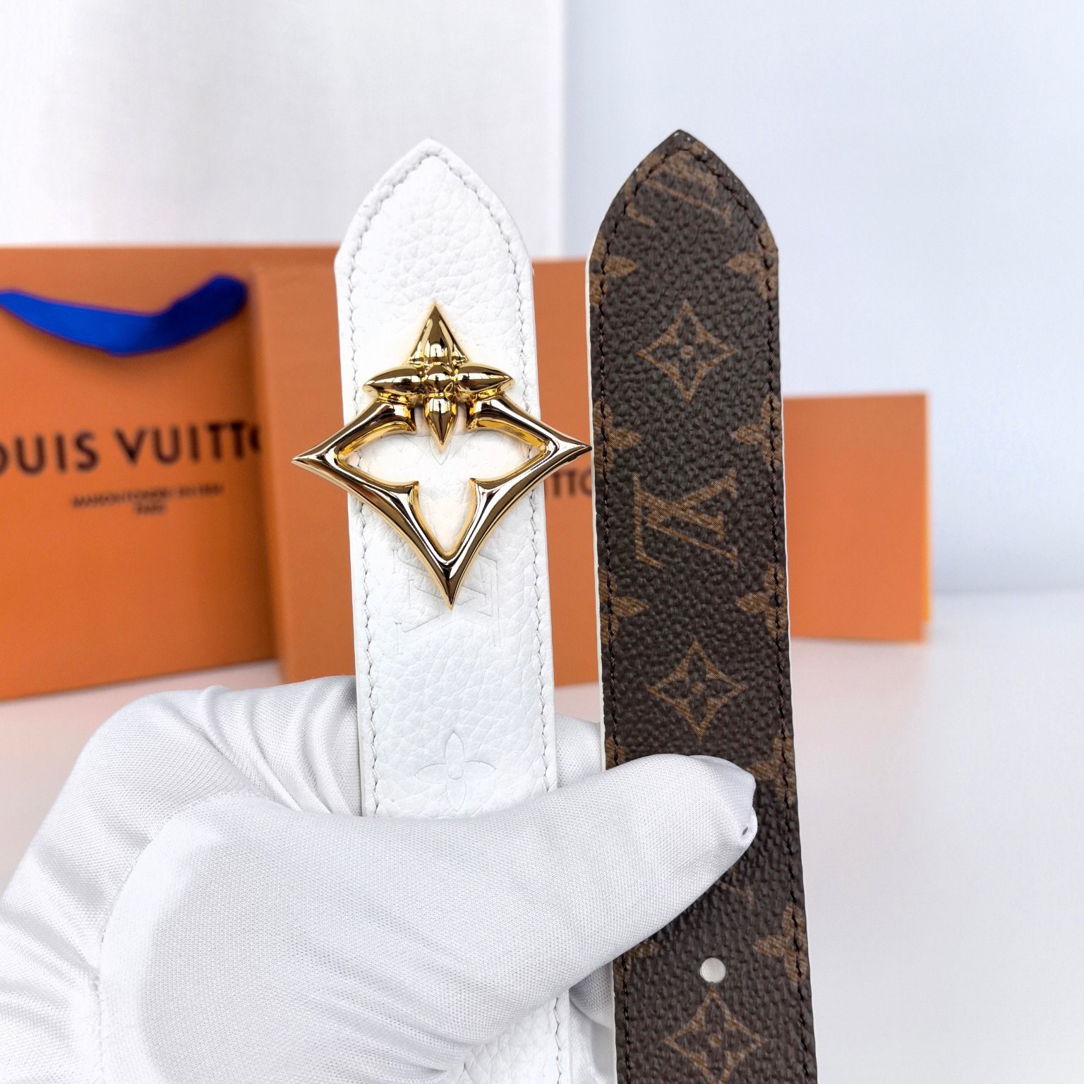 Louis Vuitton Female Basic Belt Canvas M-l