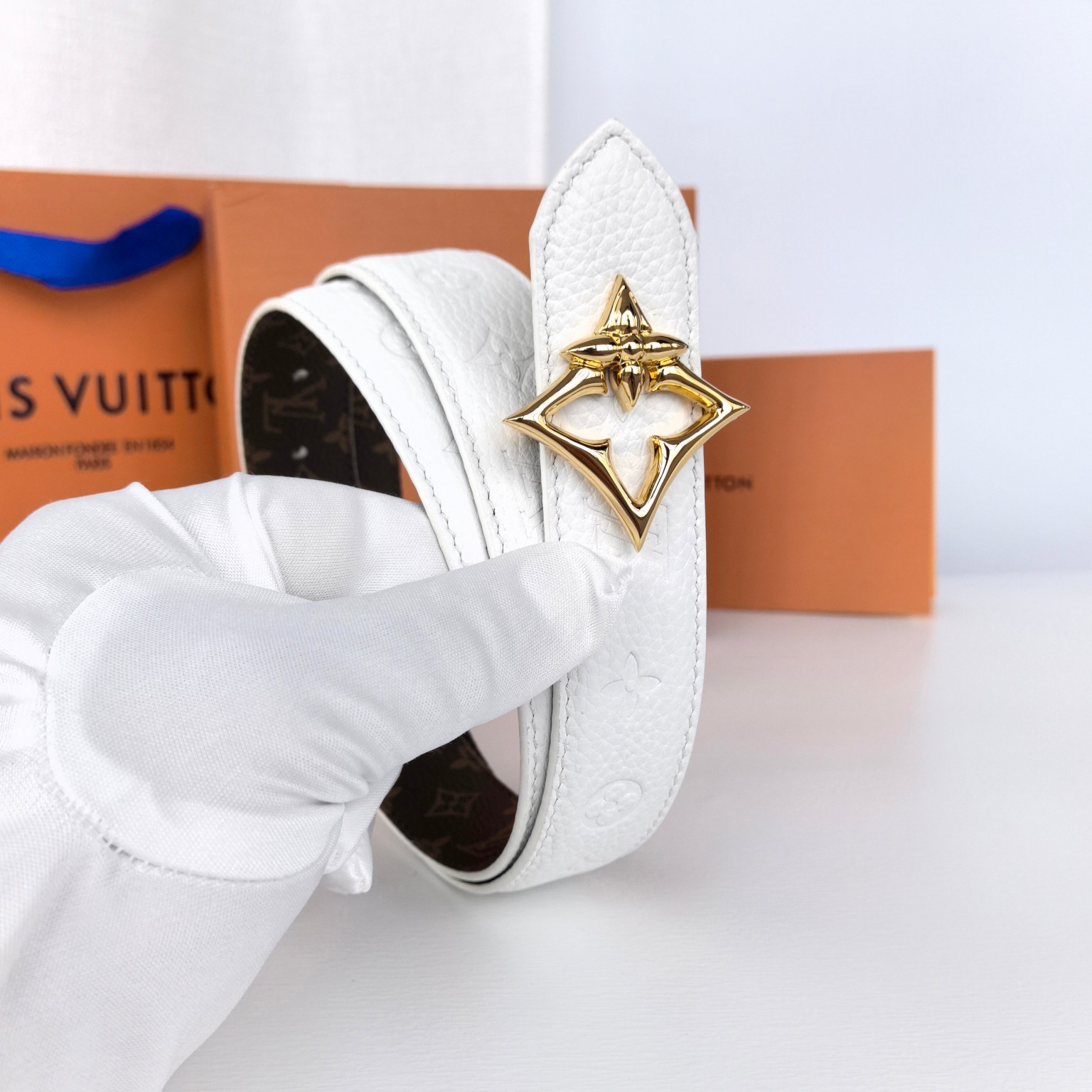 Louis Vuitton Female Basic Belt Canvas M-l