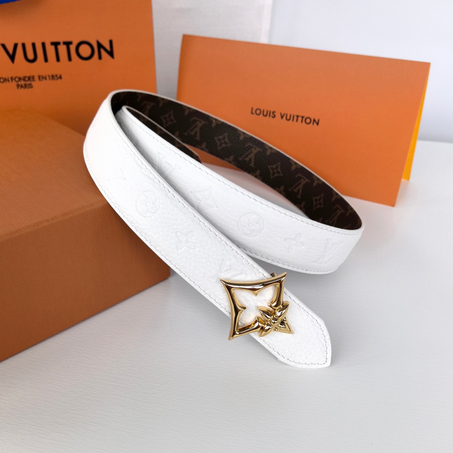 Louis Vuitton Female Basic Belt Canvas M-l