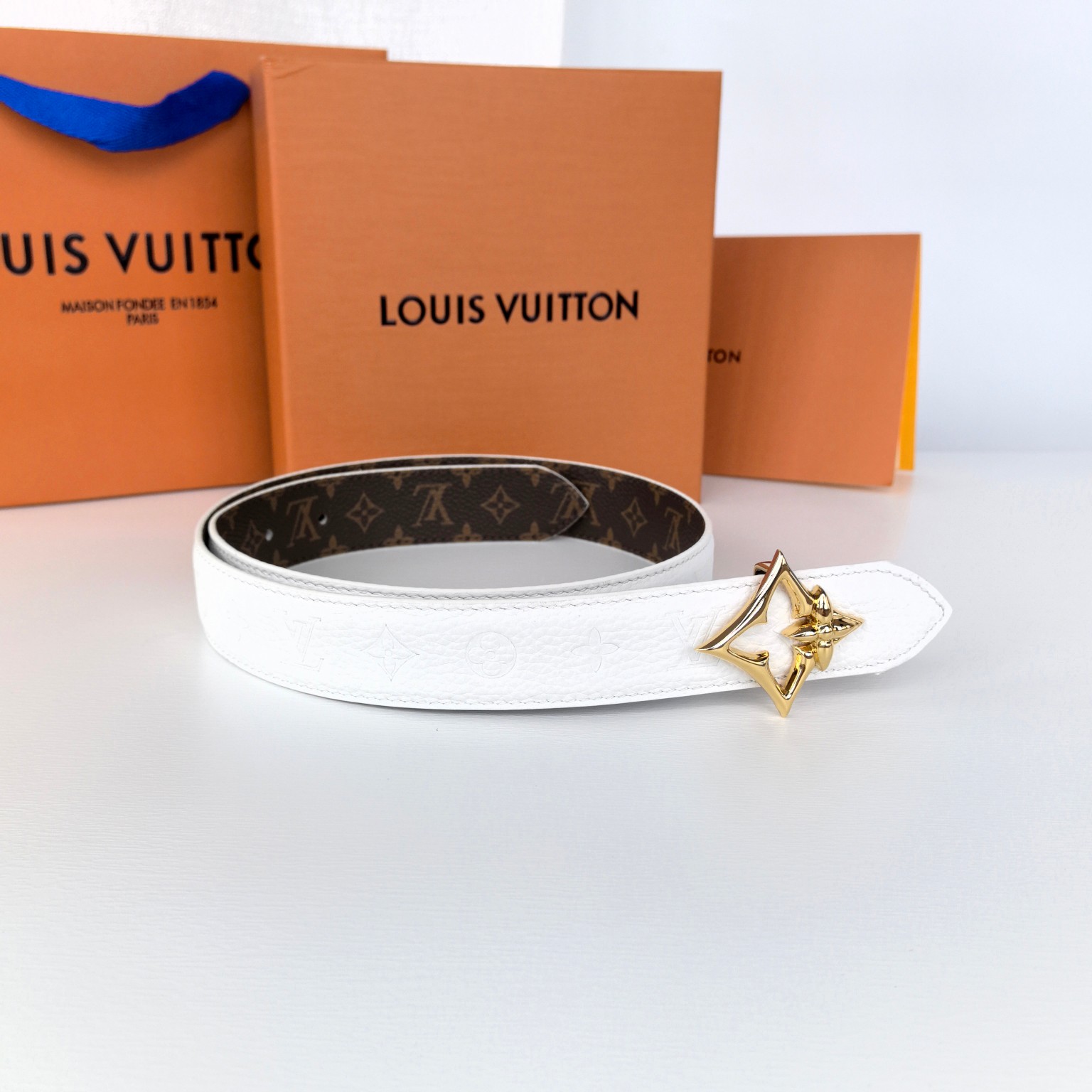 Louis Vuitton Female Basic Belt Canvas M-l