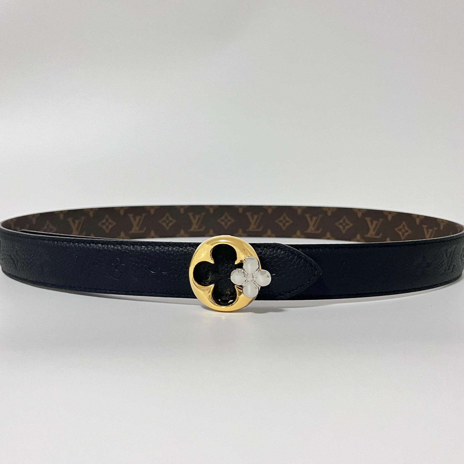 Louis Vuitton Female Basic Belt Canvas M-l